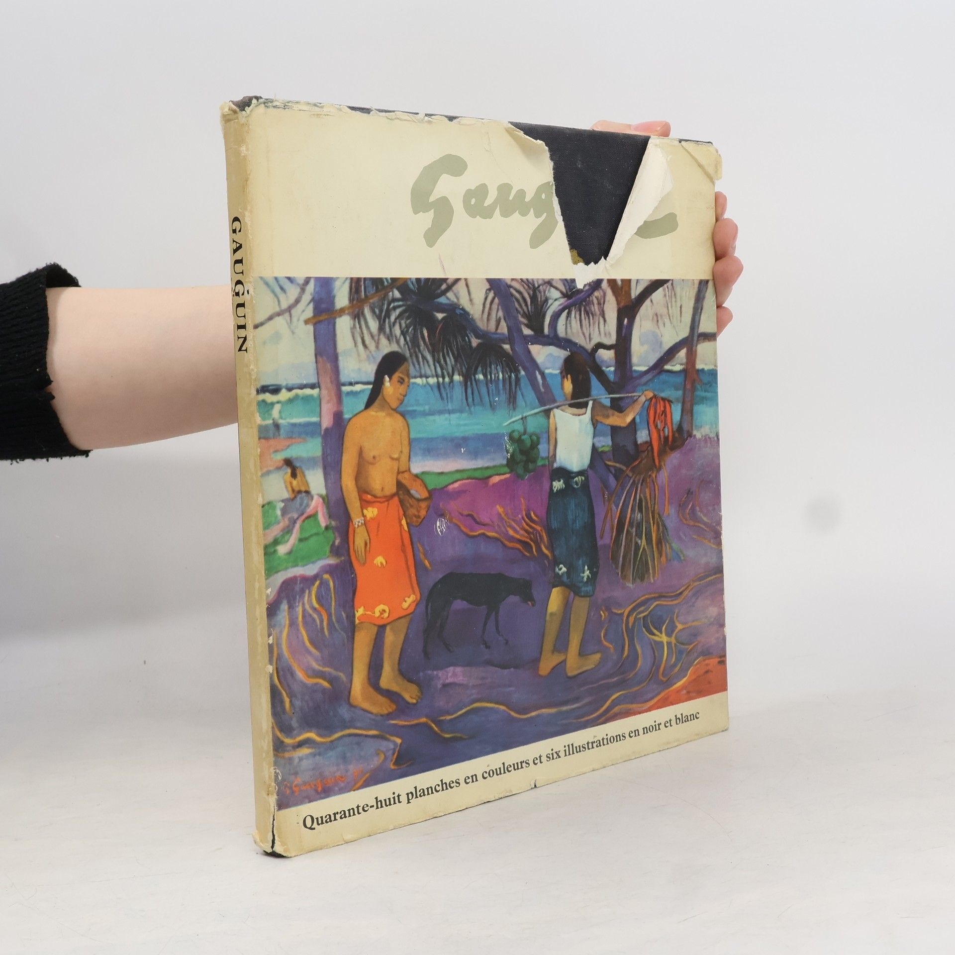 Ronald Alley Gauguin