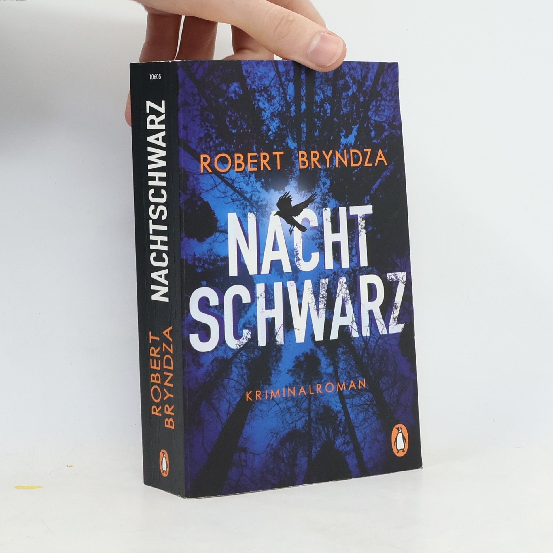 Robert Bryndza Nachtschwarz