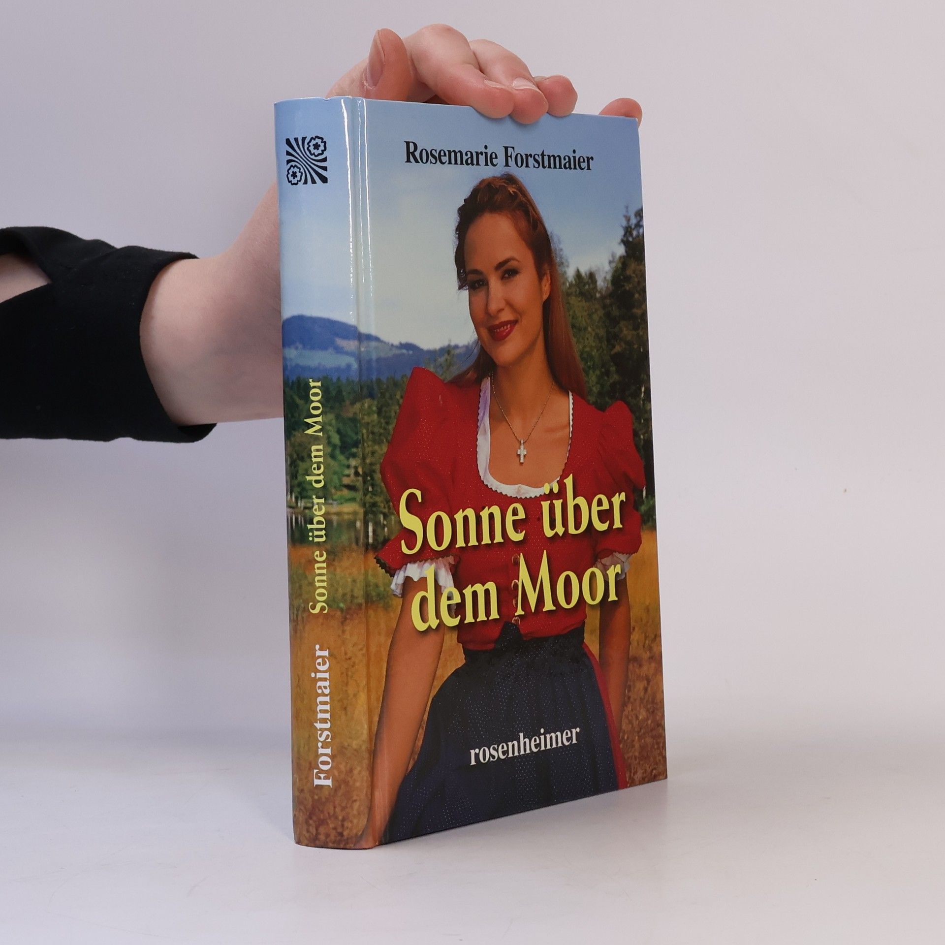 Rosemarie Forstmaier Sonne über dem Moor