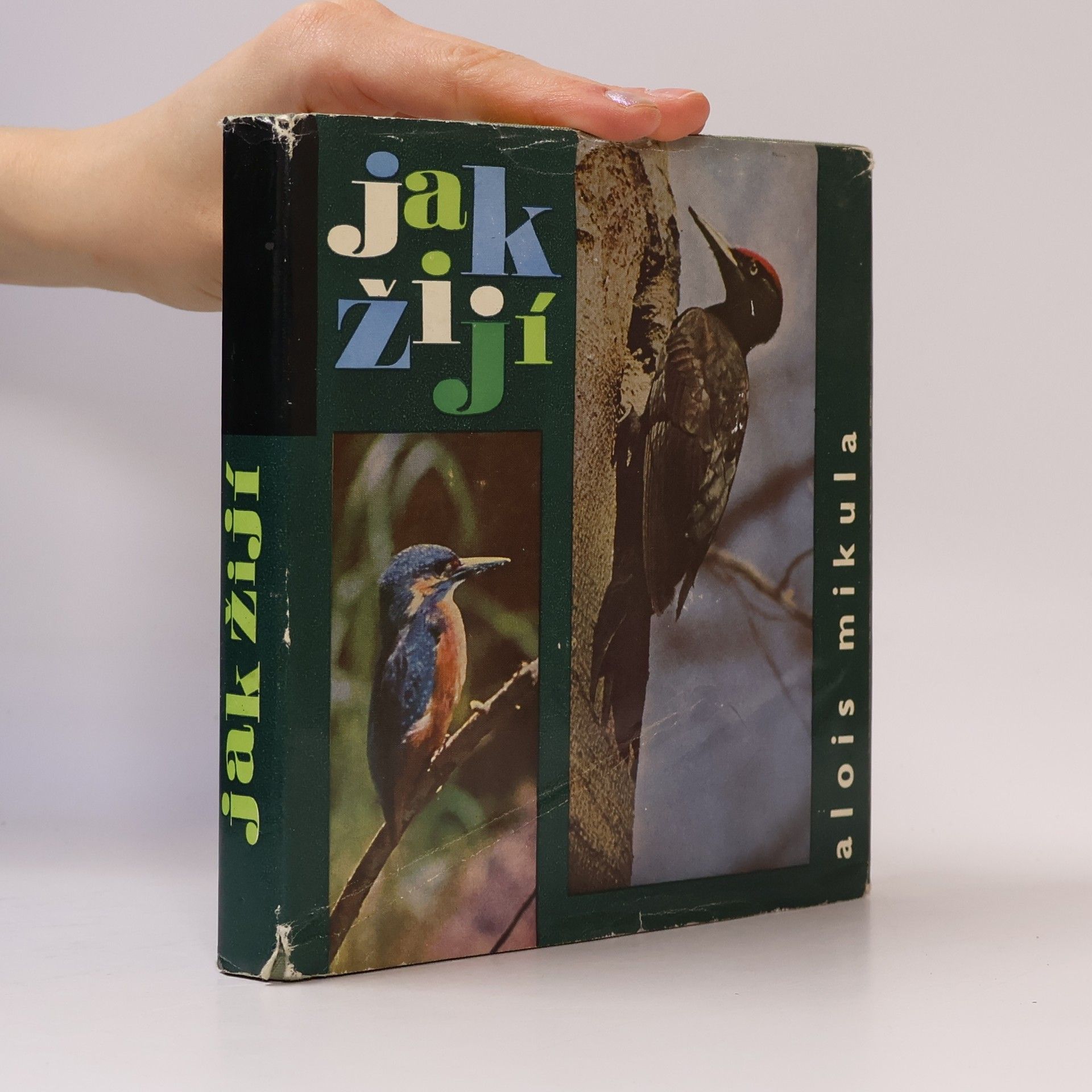 Alois Mikula Jak žijí