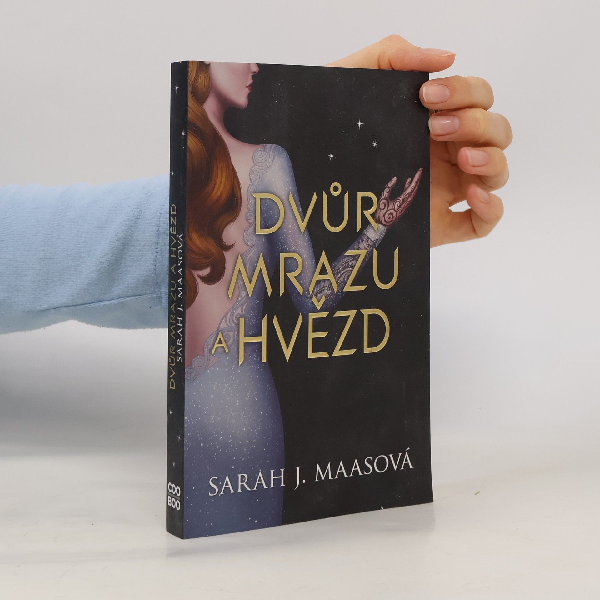 Sarah J. Maasová Dvůr mrazu a hvězd