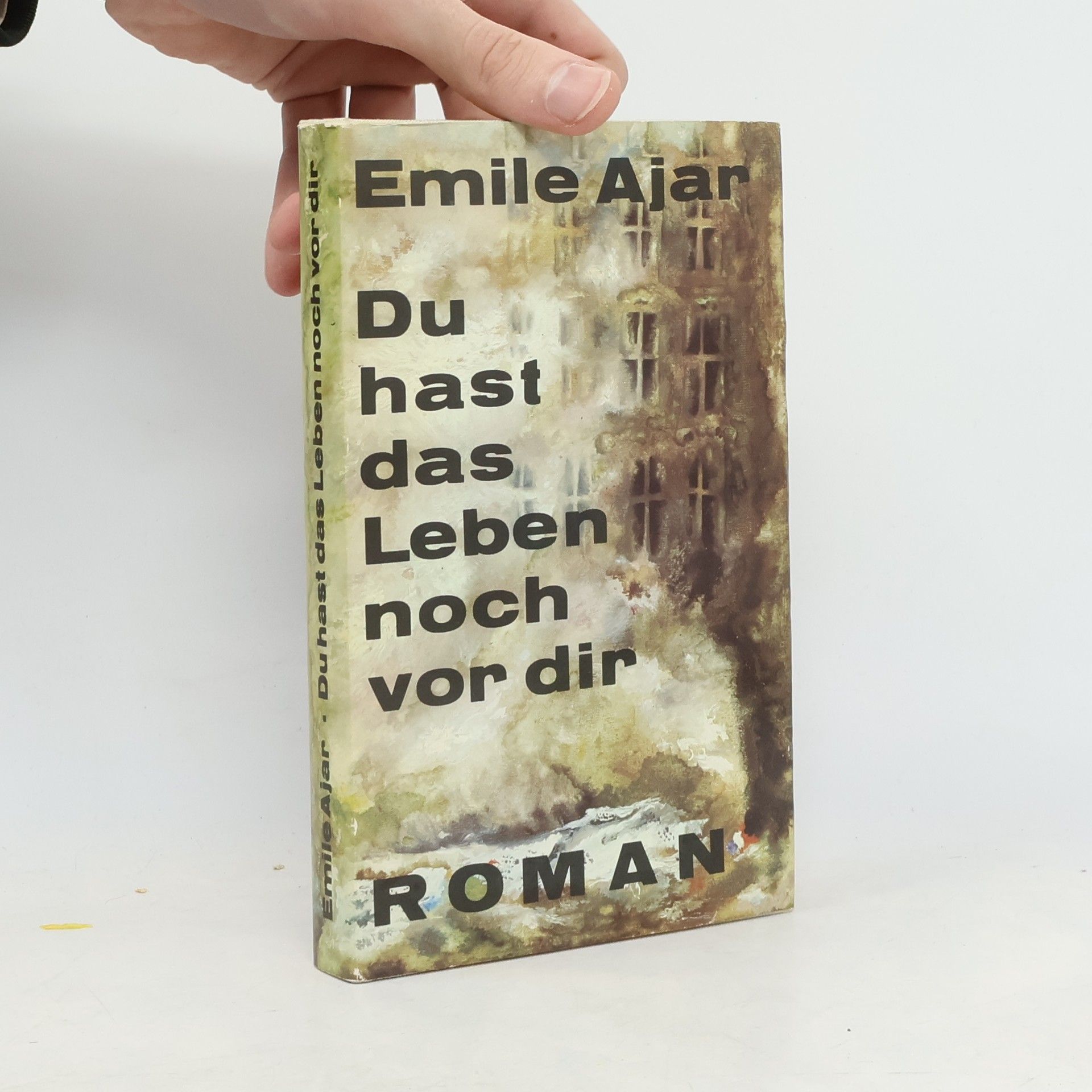 Romain Gary Du hast das Leben vor dir