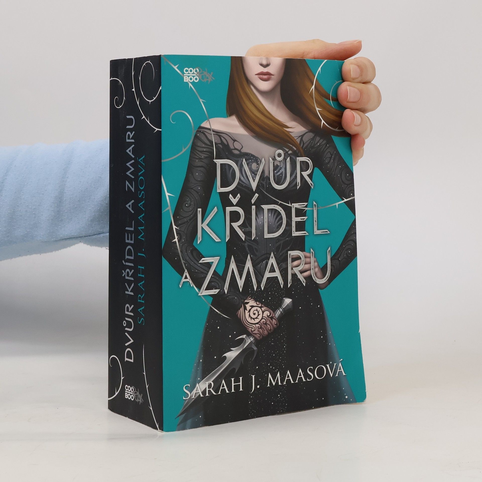 Sarah J. Maas Dvůr křídel a zmaru