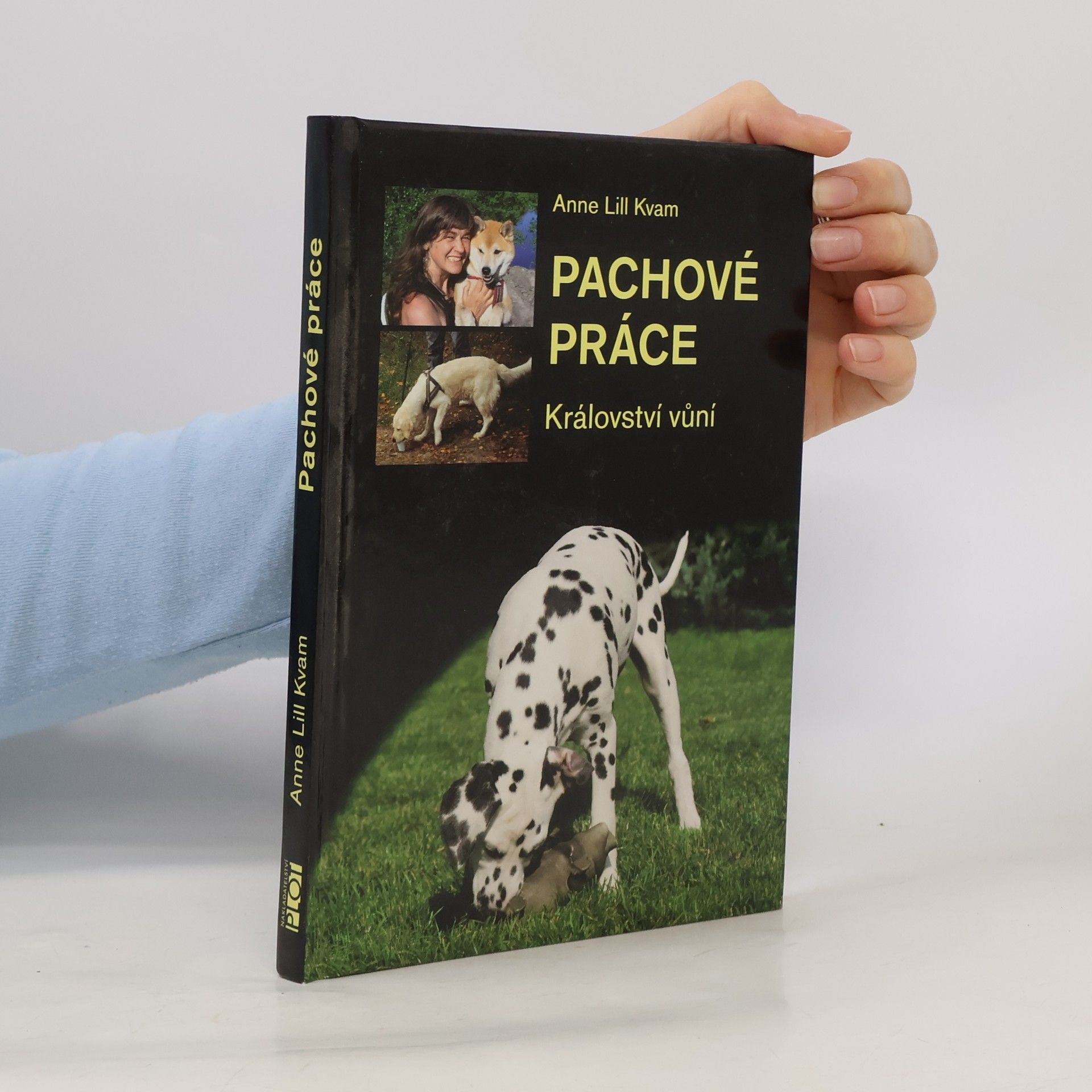 Anne Lill Kvam Pachové práce. Království vůní