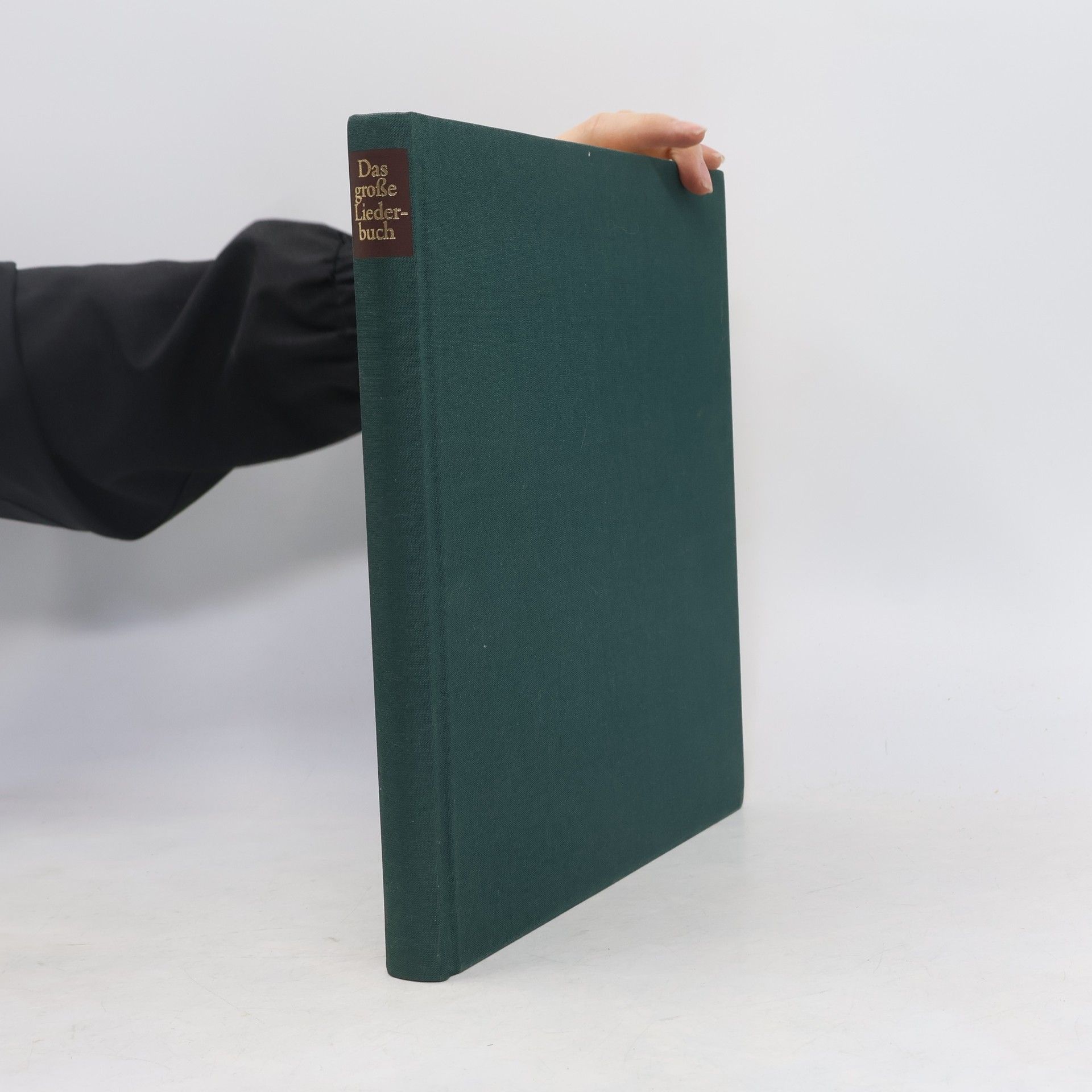 Das grosse Liederbuch