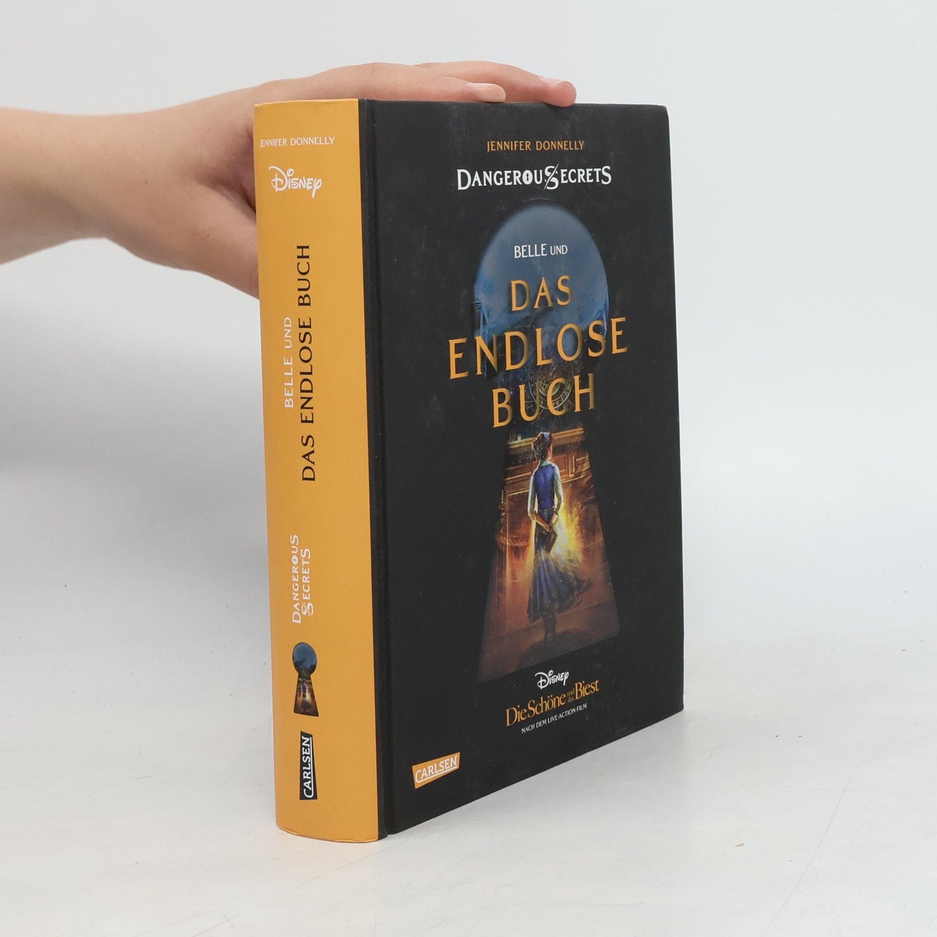 Jennifer Donnelly Das endlose Buch