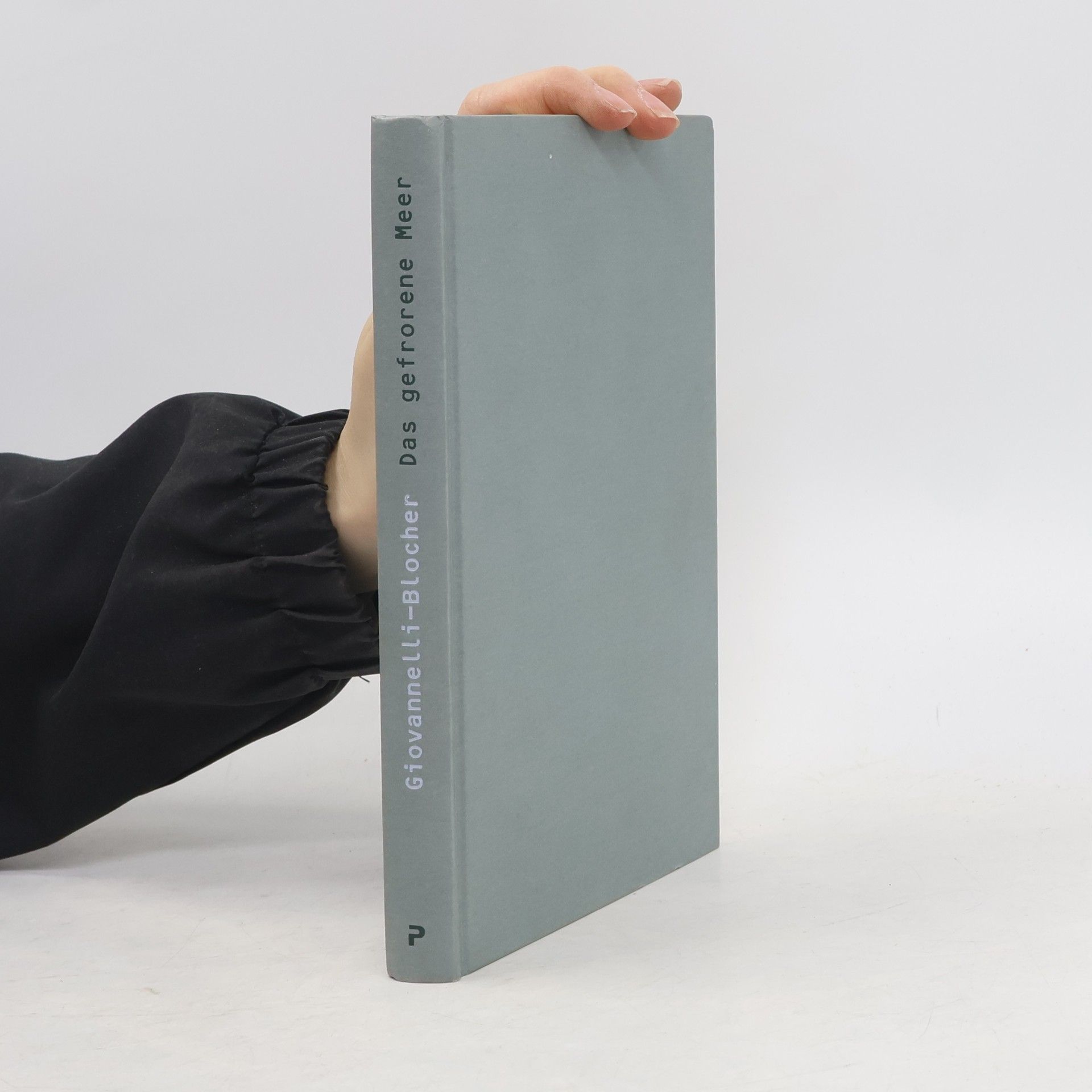 Judith Giovannelli Blocher Das gefrorene Meer
