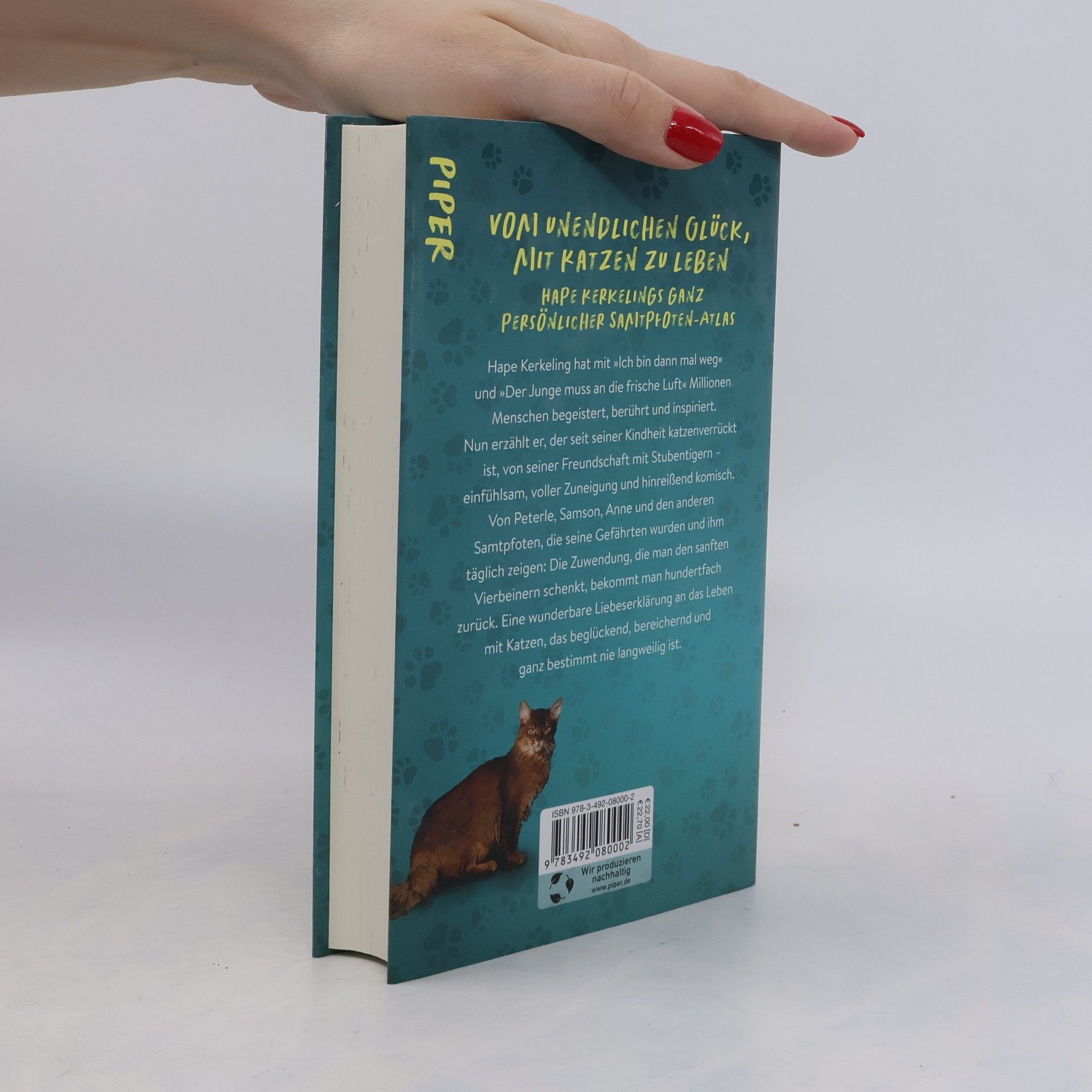 Hape Kerkeling Pfoten vom Tisch! : Meine Katzen, andere Katzen und ich