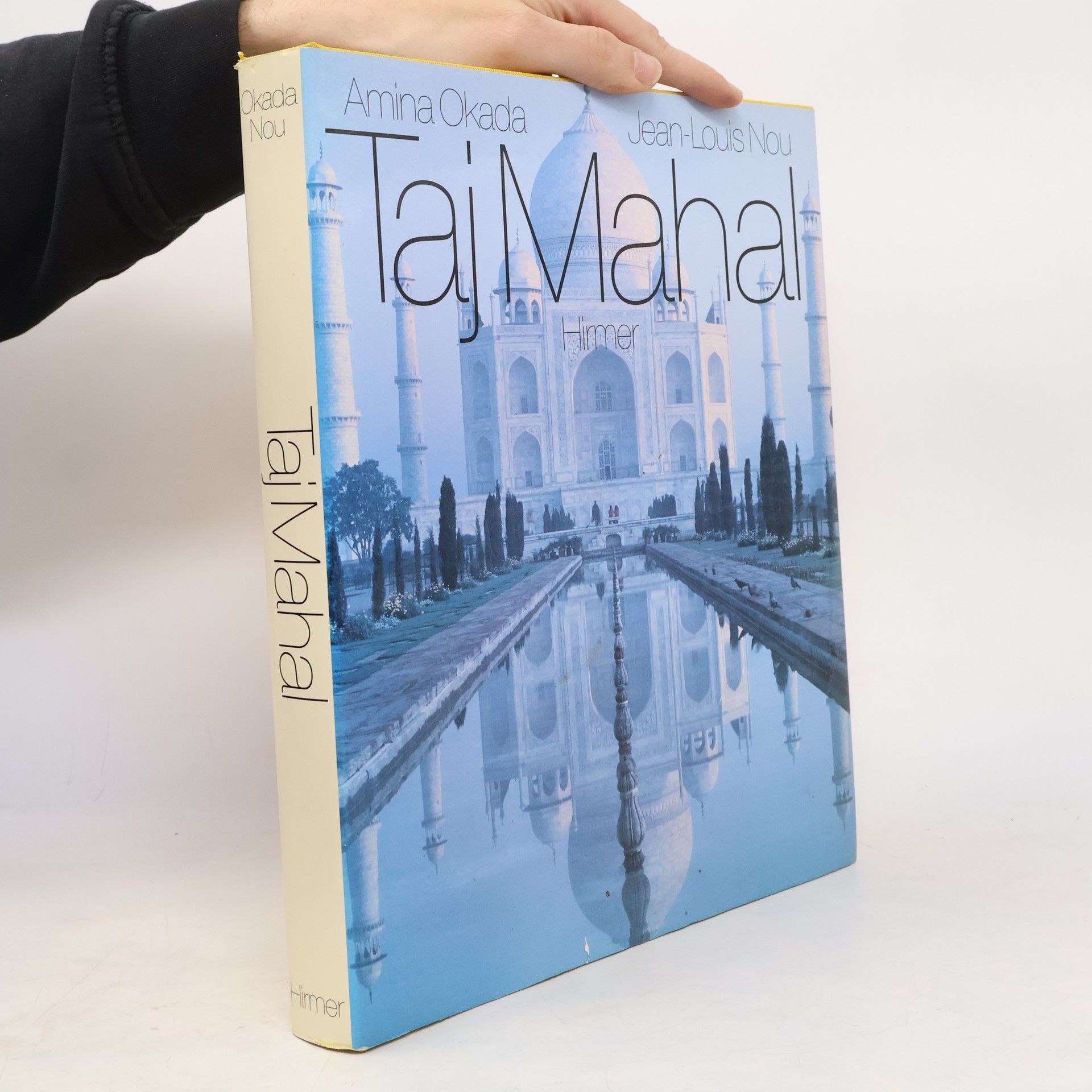 Amina Okada Taj Mahal