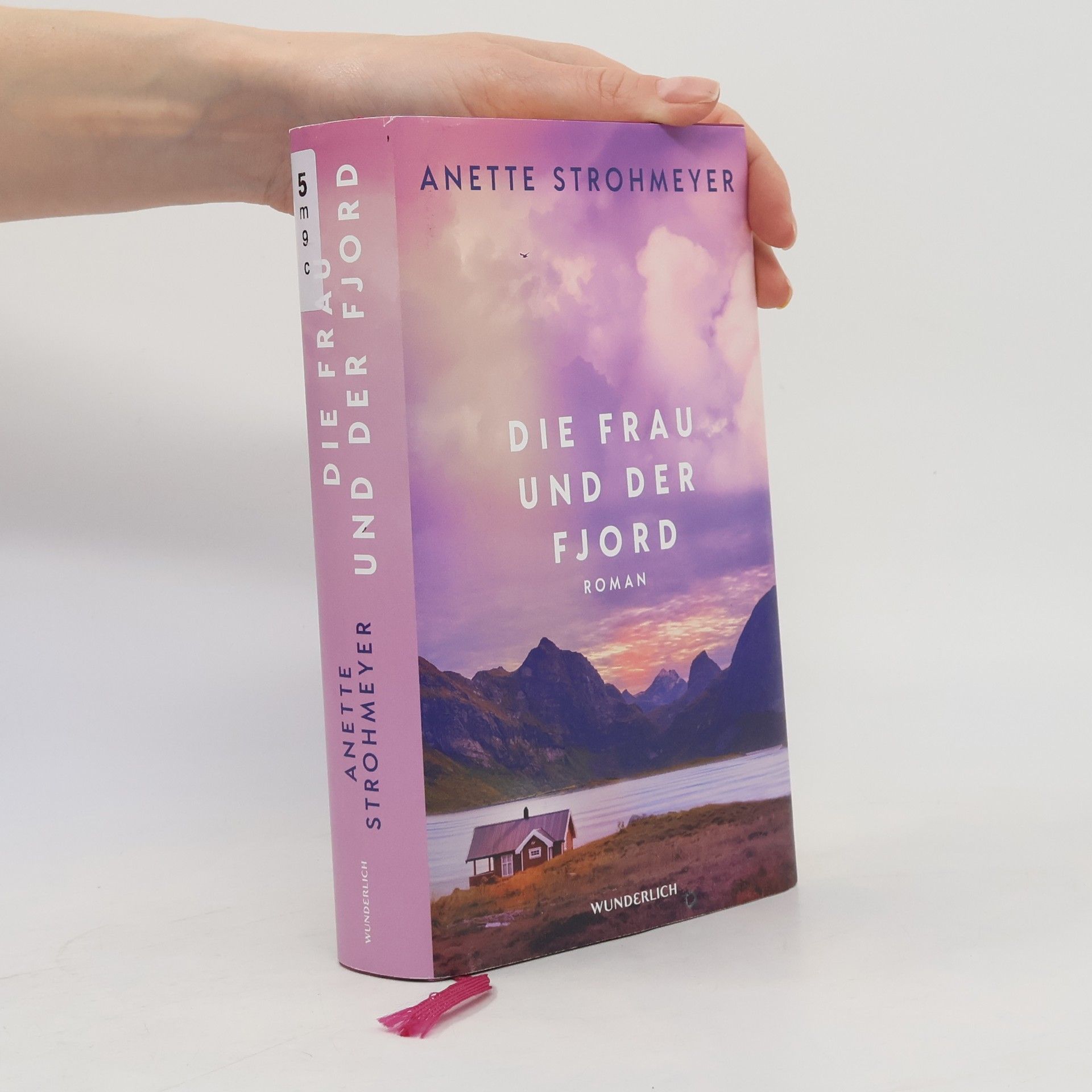 Anette Strohmeyer Die Frau und der Fjord