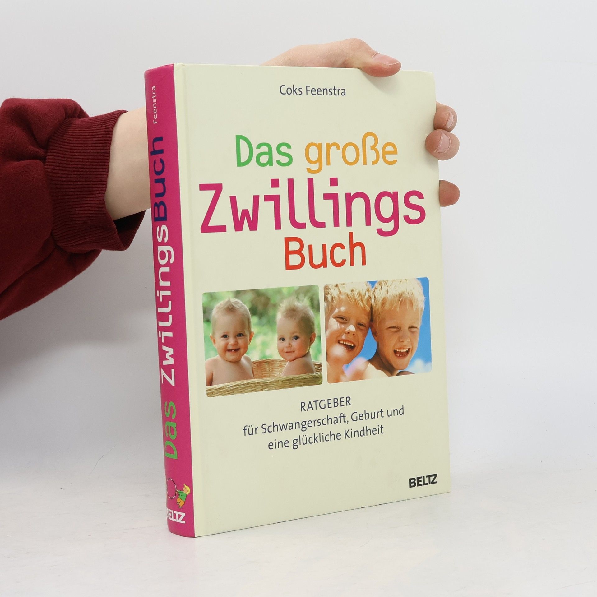 Coks Feenstra Das große ZwillingsBuch