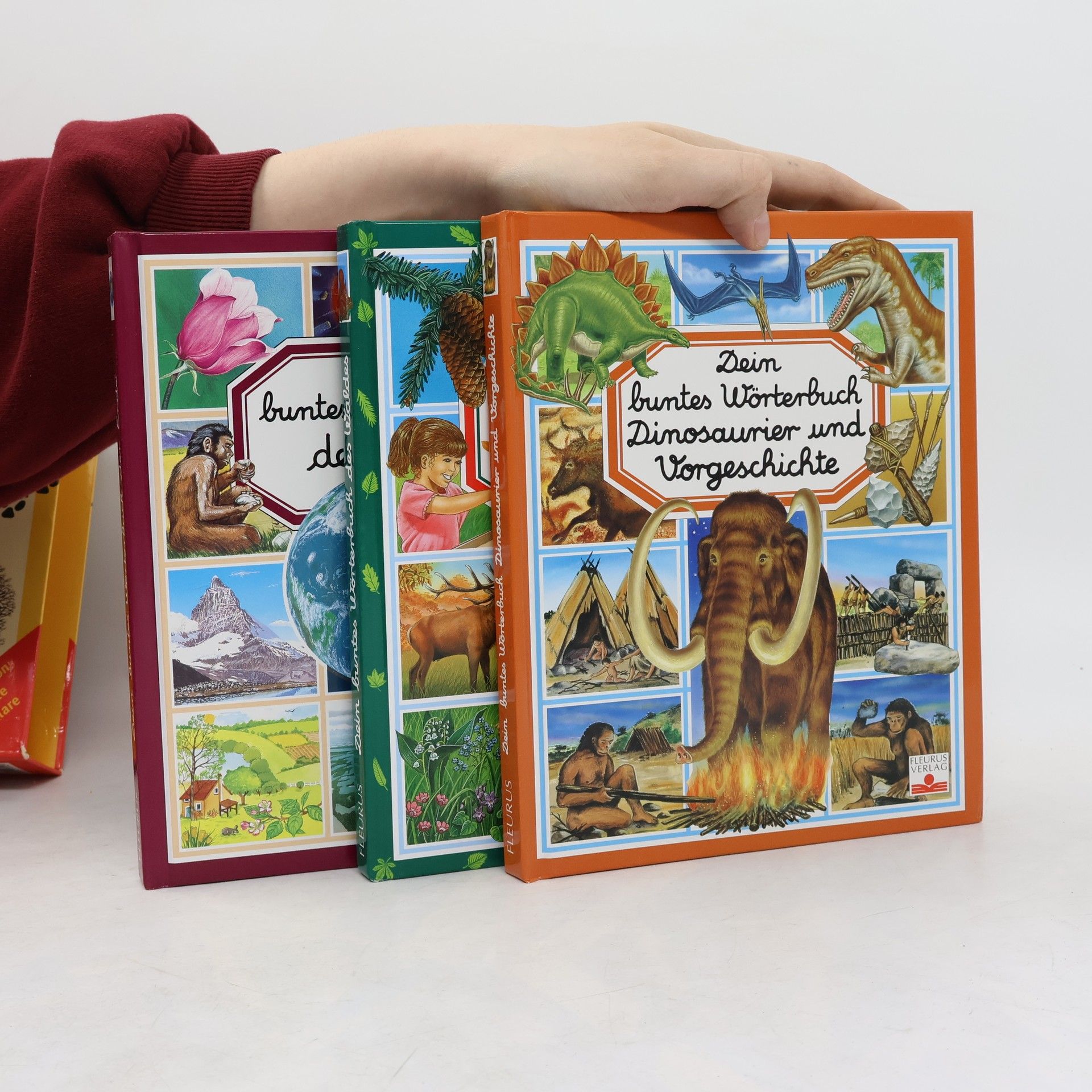 Autores varios Dien buntes Wörterchuch Jubiläumsaugabe (3 bände+box)