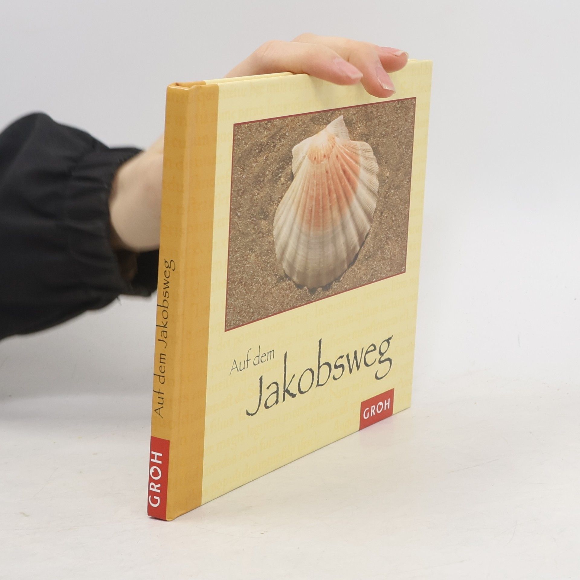 Benedikt Ambacher Auf dem Jakobsweg