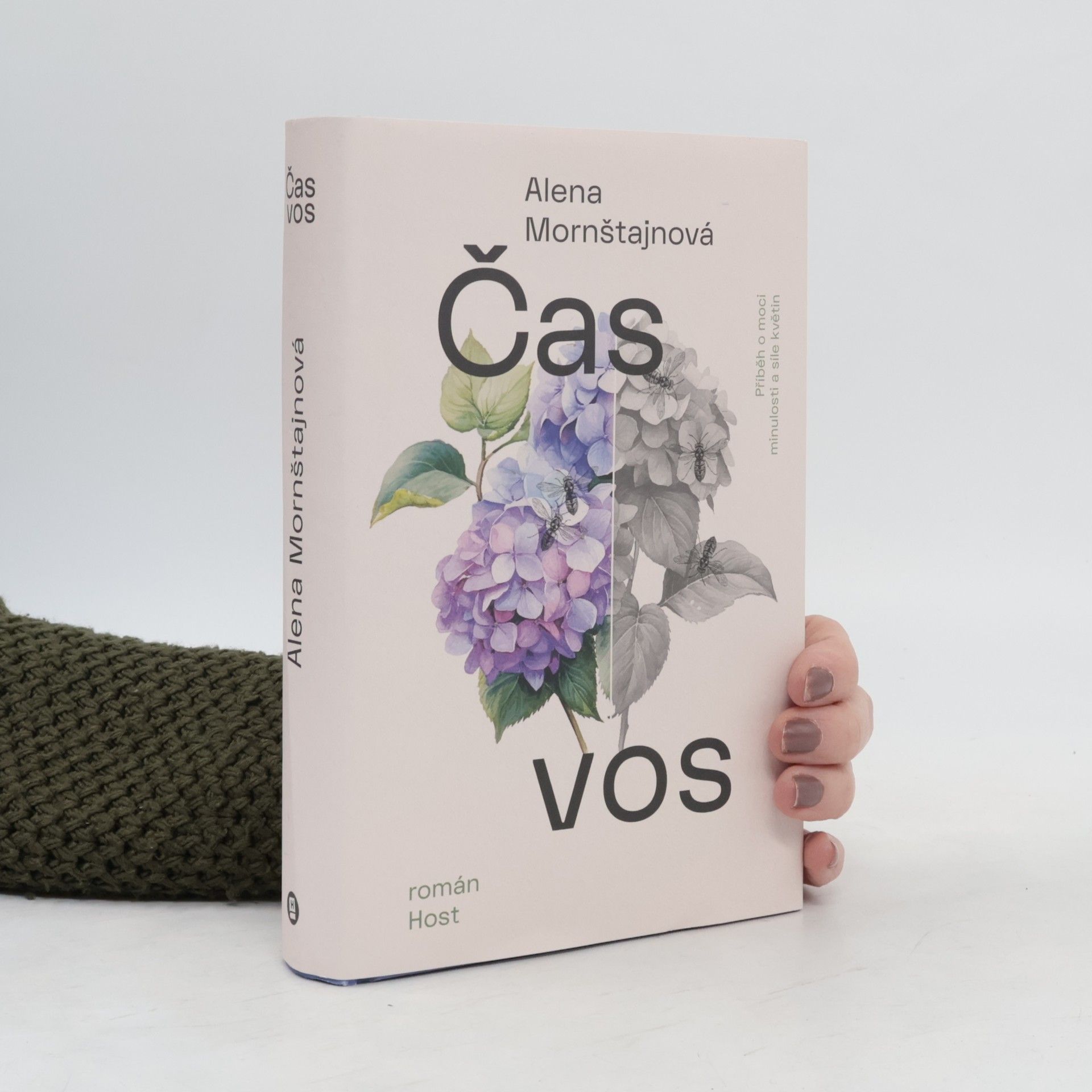 Alena Mornštajnová Čas vos