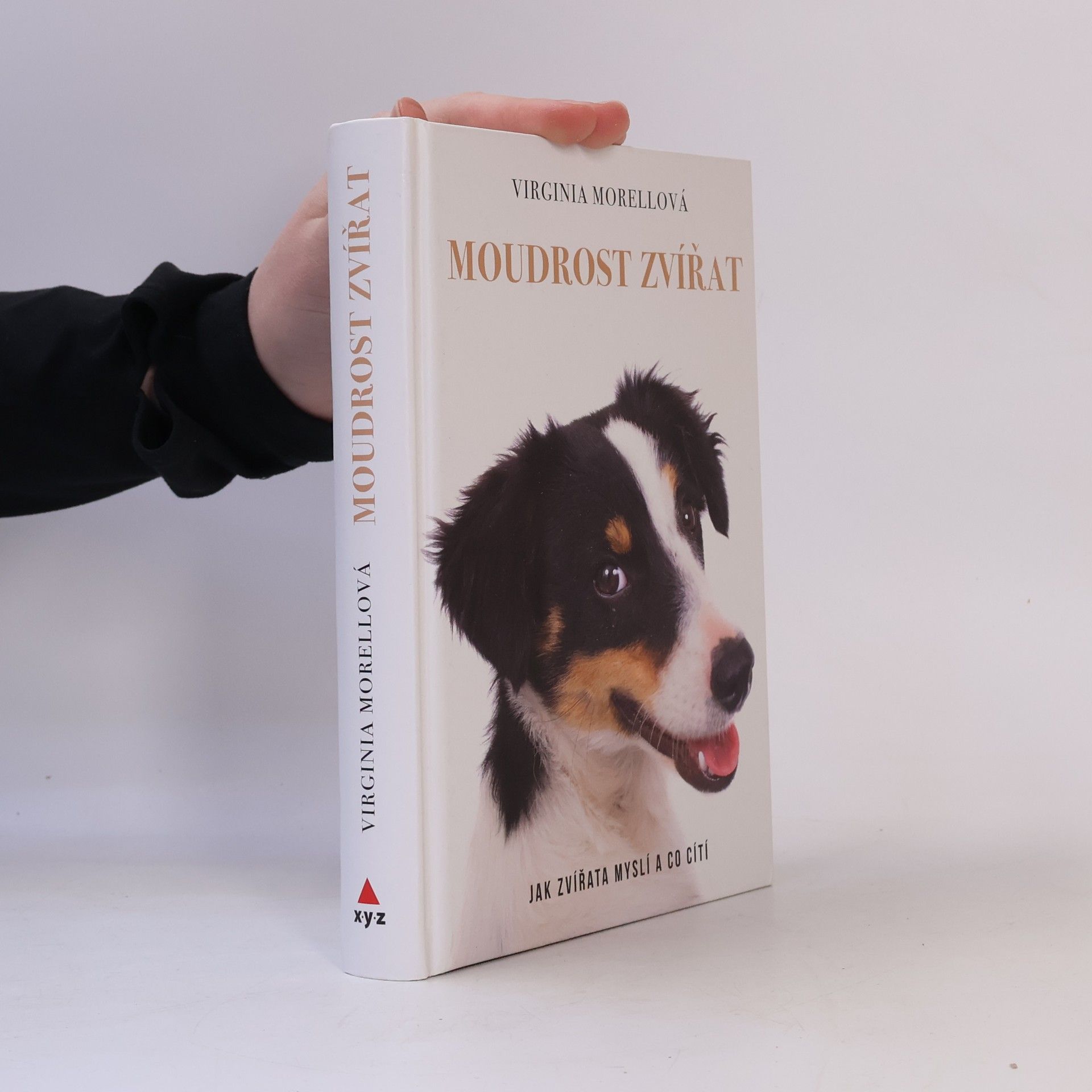 Virginia Morell Moudrost zvířat - Jak zvířata myslí a co cítí