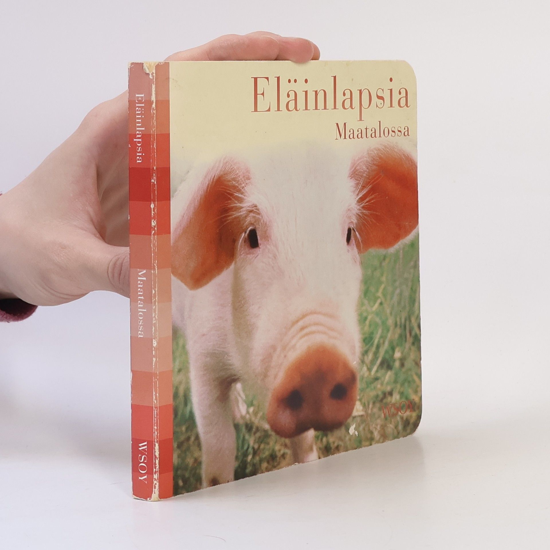 Autorenkollektiv Eläinlapsia