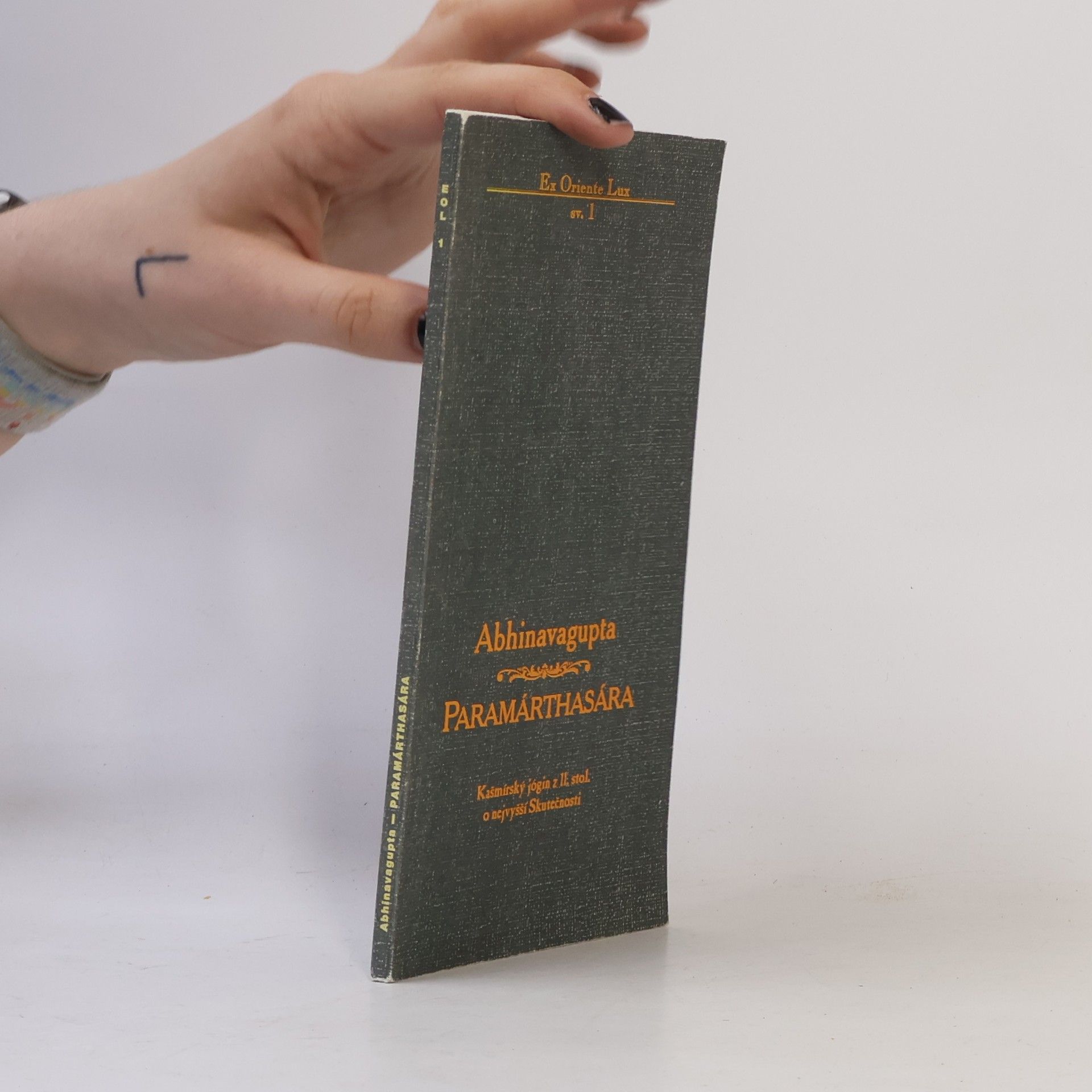 Abhinavagupta Paramárthasára. Kašmírský jógin z 11. stol. o nejvyšší Skutečnosti