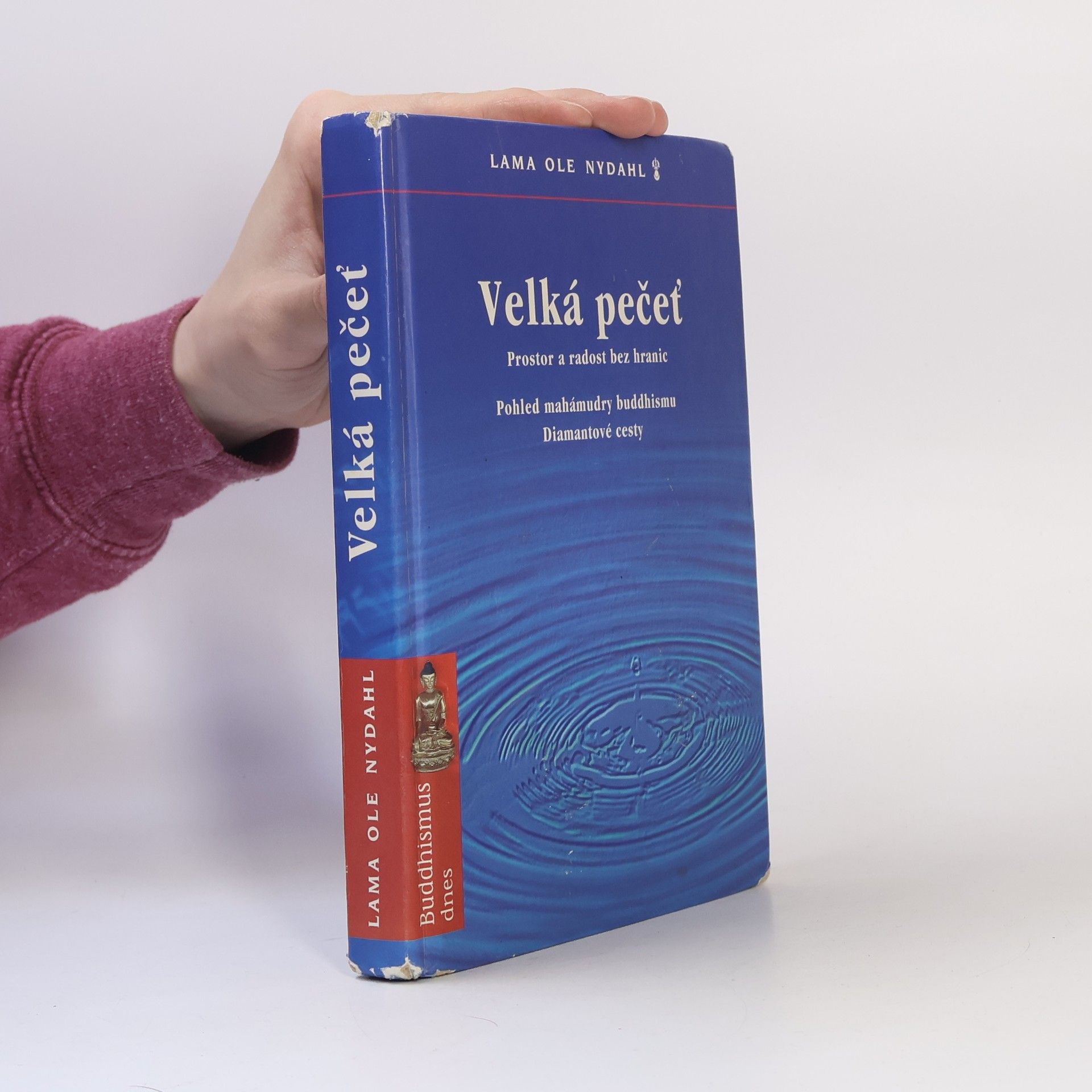 Ole Nydahl Velká pečeť: pohled mahámudry buddhismu Diamantové cesty
