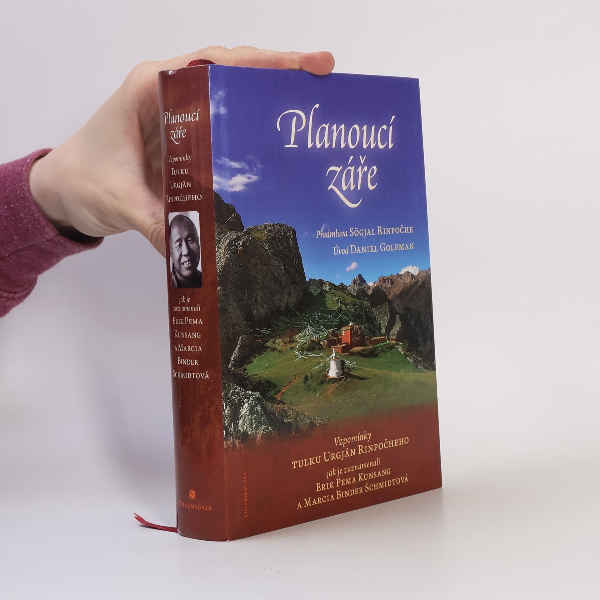 Kolektiv autorů Planoucí záře