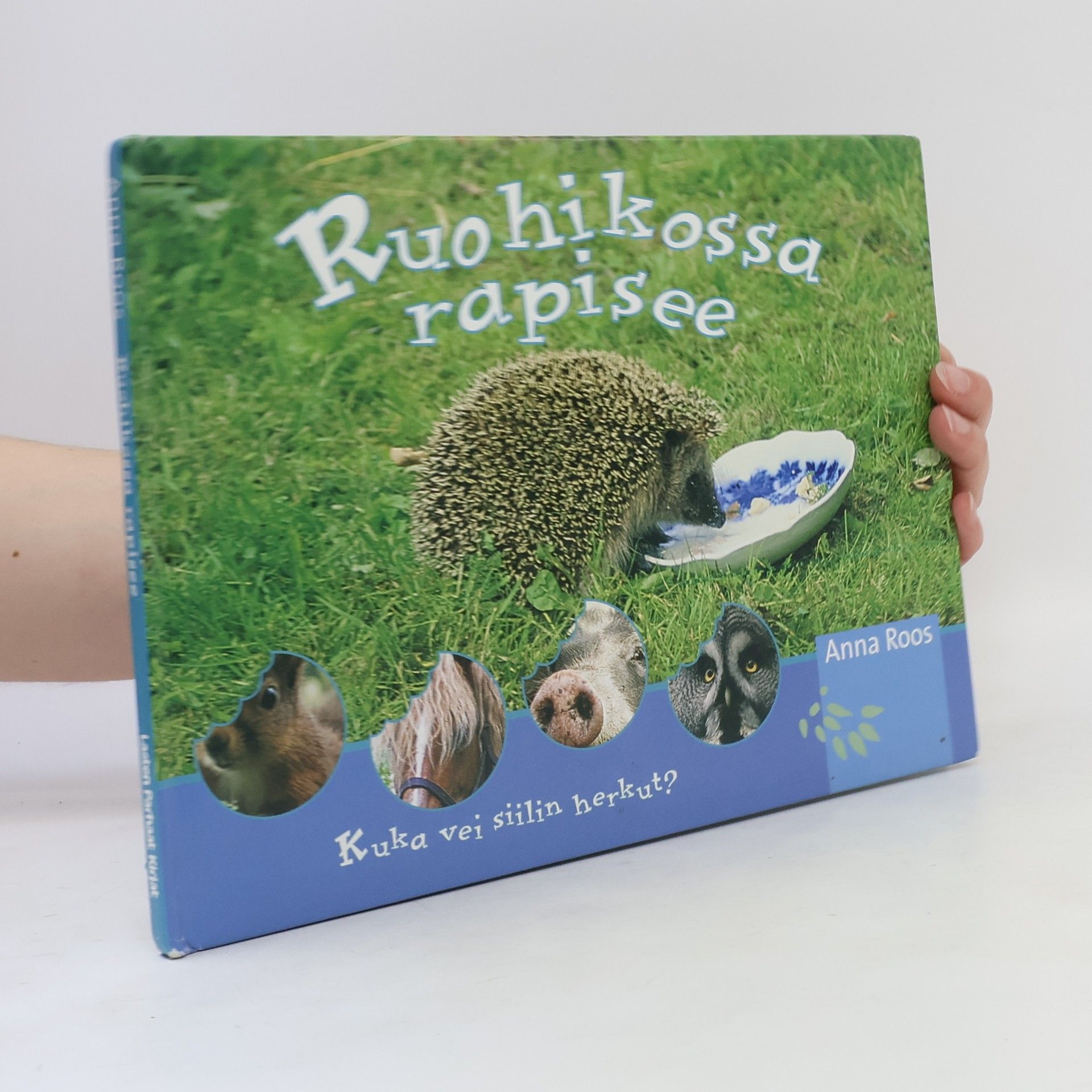 Anna Roos Ruohikossa rapisee