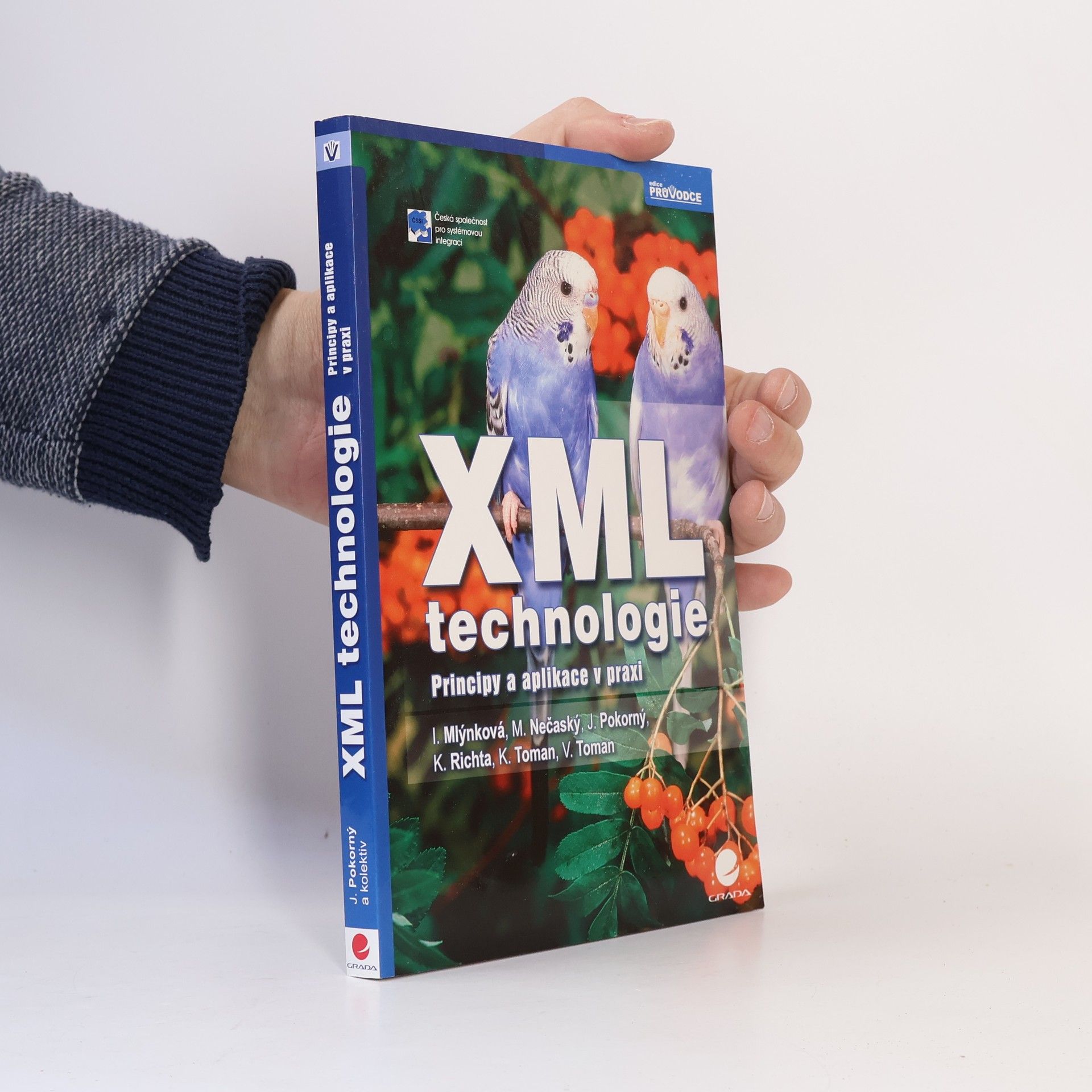 J. Pokorný XML technologie. Principy a aplikace v praxi