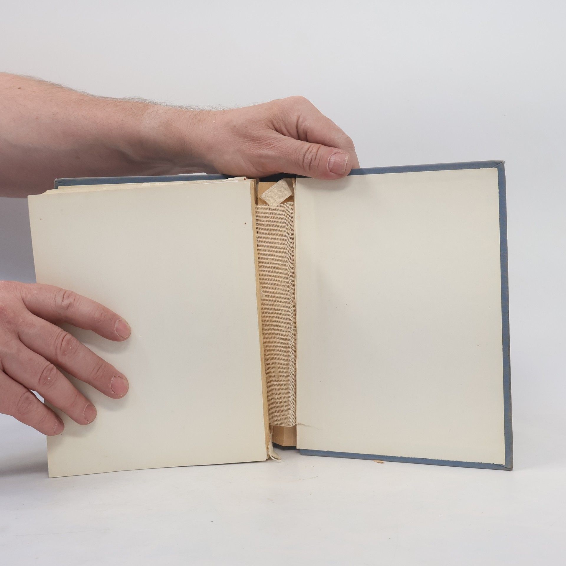 Collectif d'auteurs Bible