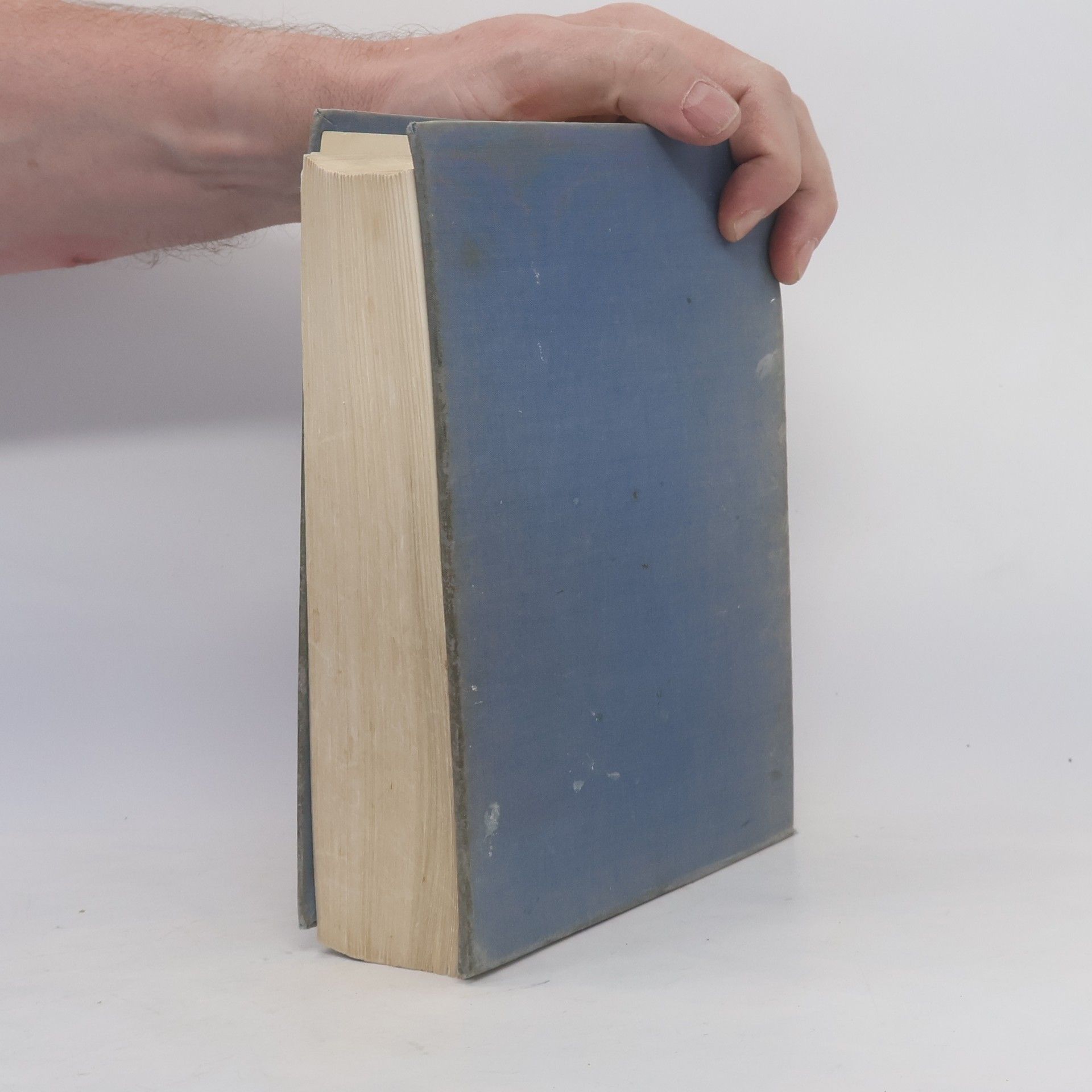 Collectif d'auteurs Bible