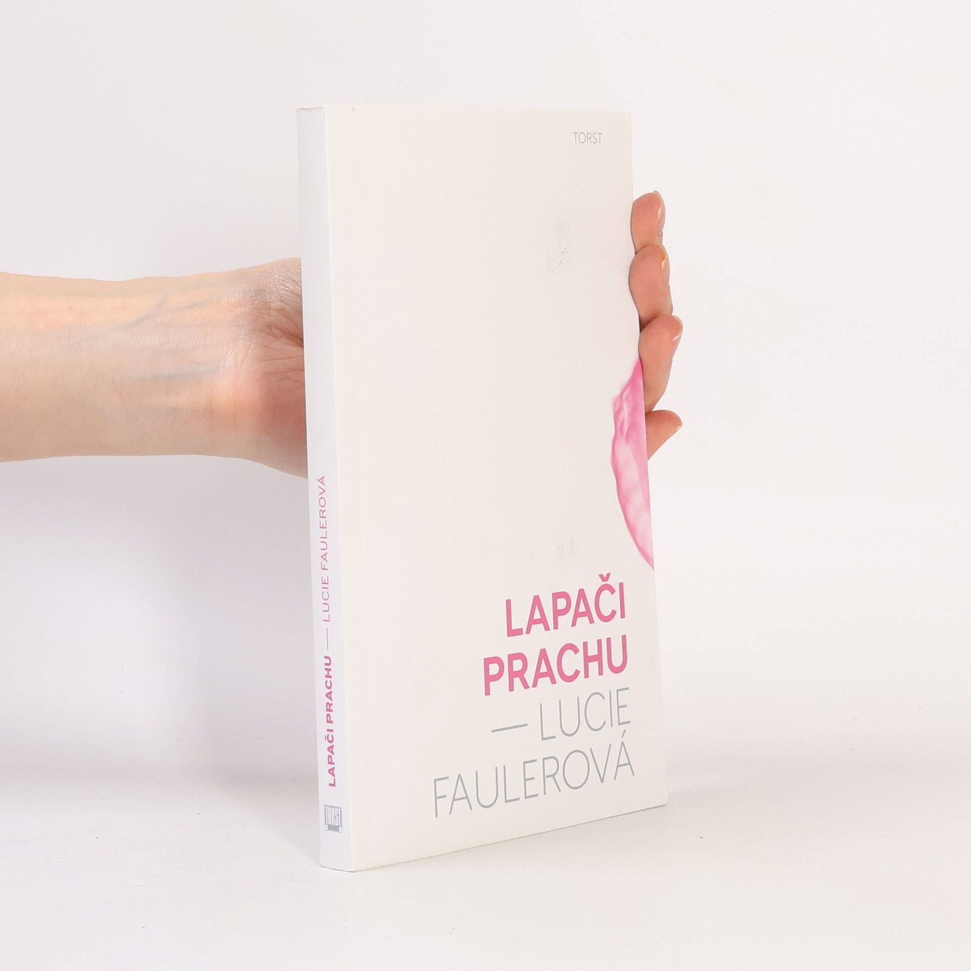 Lucie Faulerová Lapači prachu
