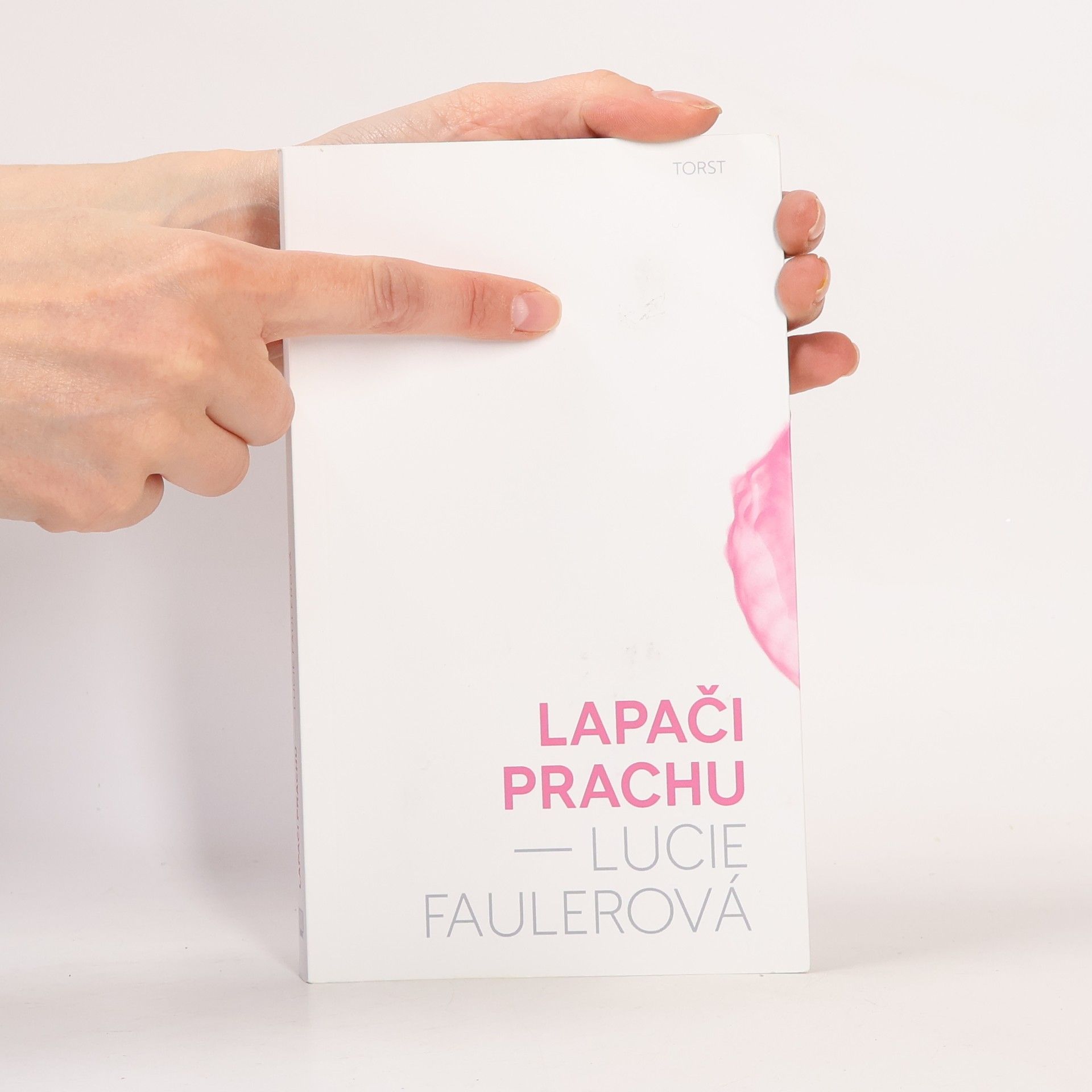 Lucie Faulerová Lapači prachu