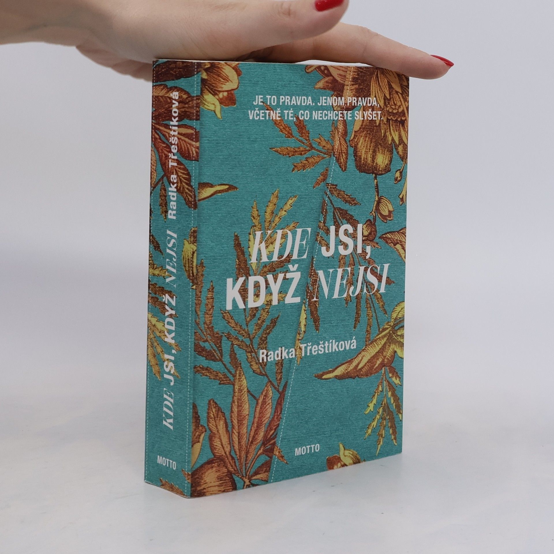 Radka Třeštíková Kde jsi, když nejsi