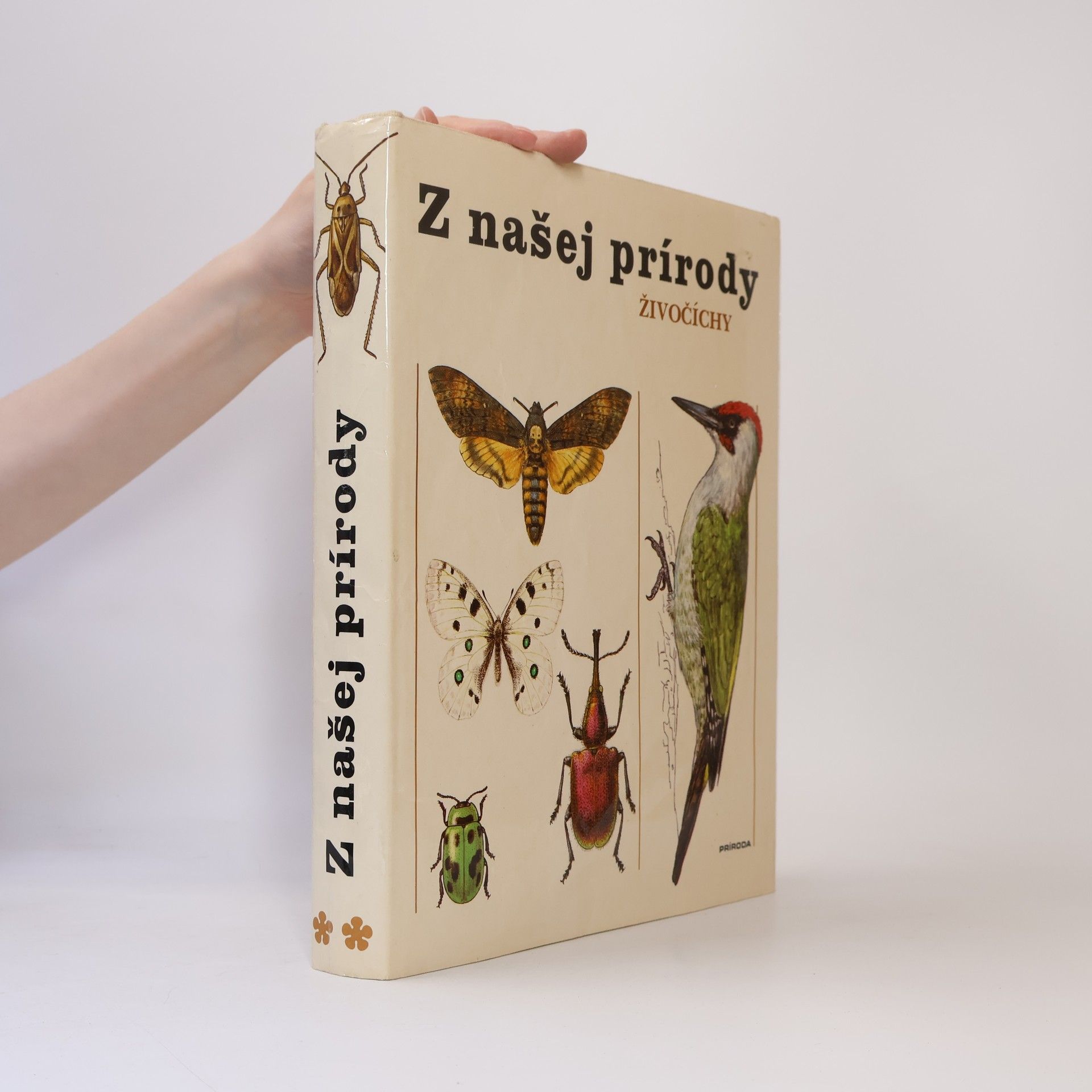 Ladislav Korbel Z našej prírody. Živočíchy