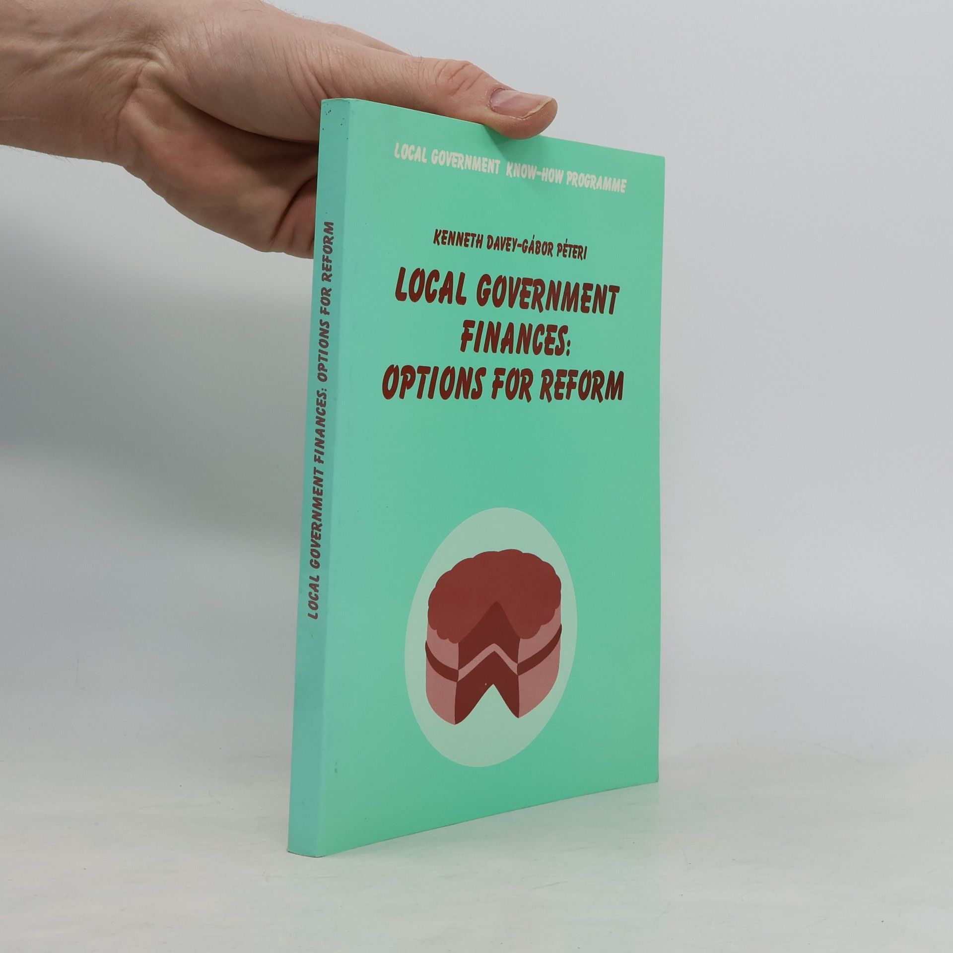 Local Government Finances