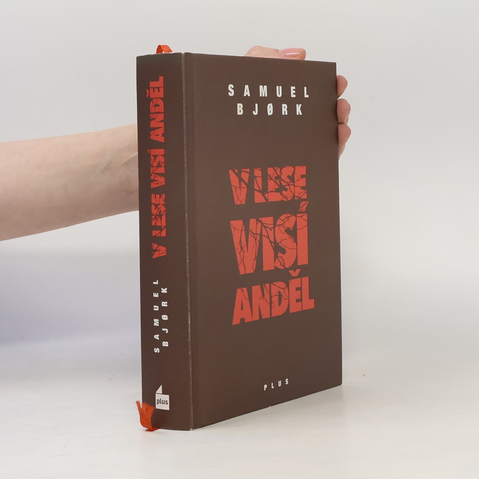 Samuel Bjork V lese visí anděl