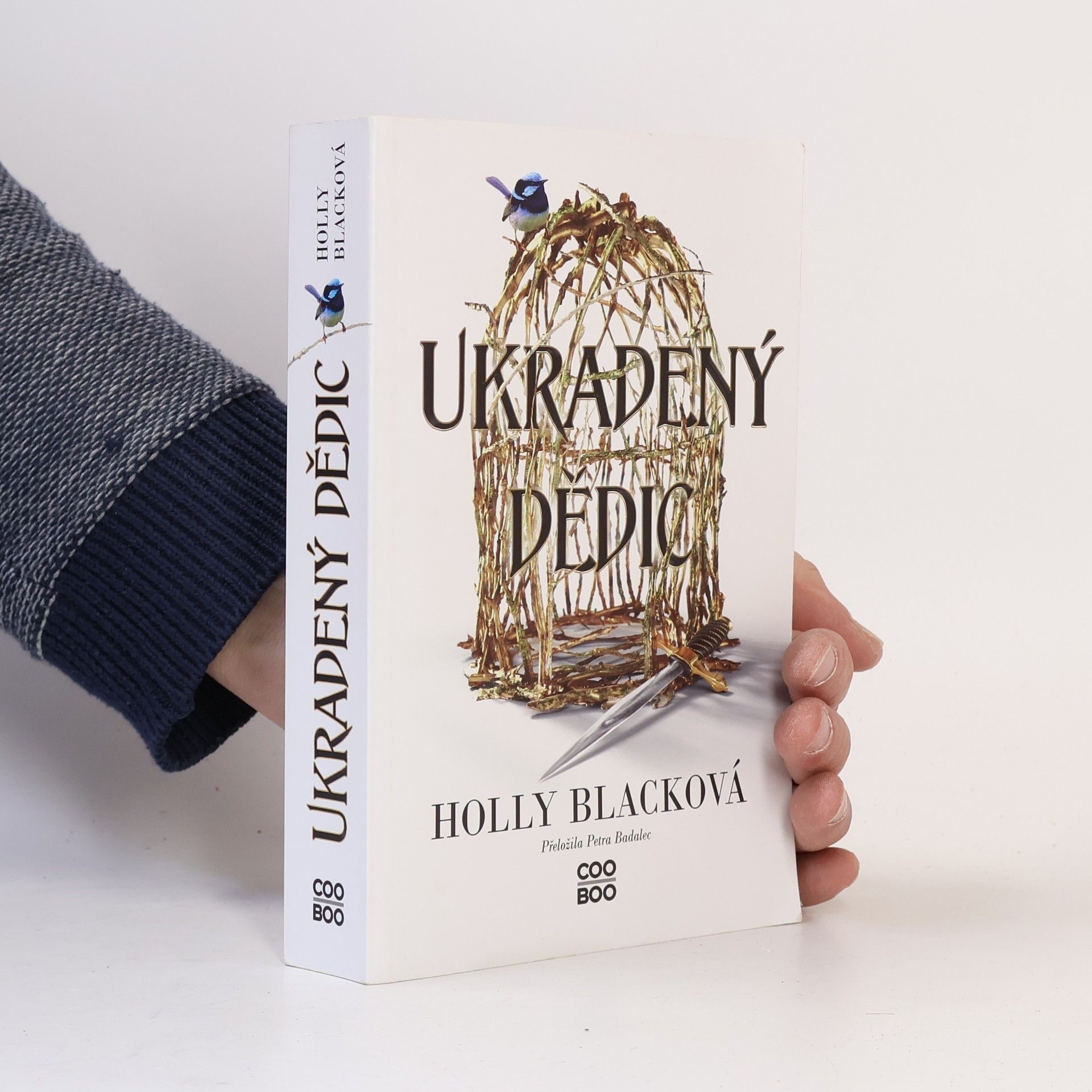 Holly Black Ukradený dědic