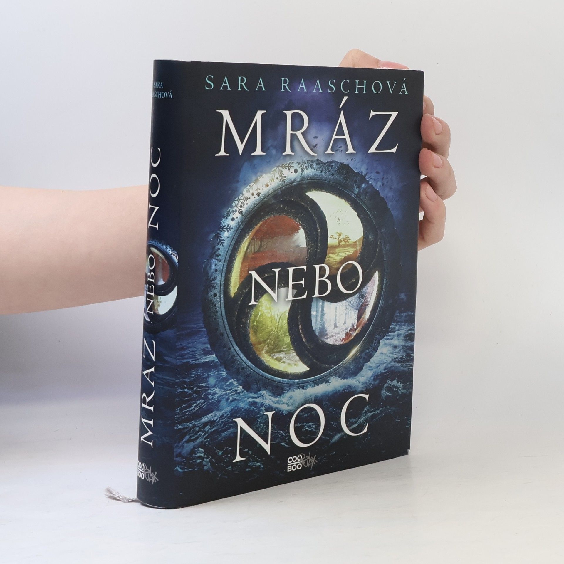 Sara Raasch Mráz nebo noc