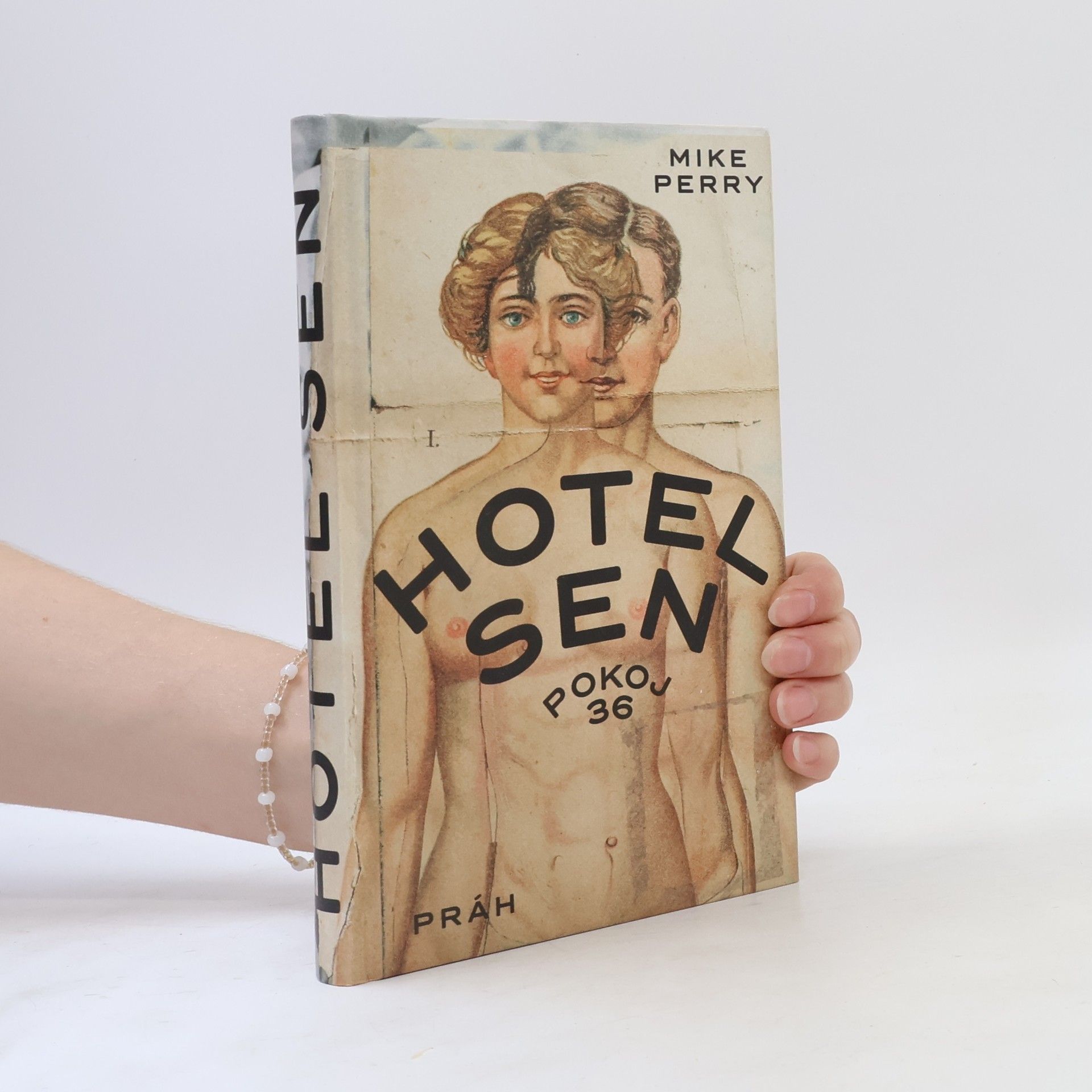 Mike Perry Hotel Sen : pokoj 36
