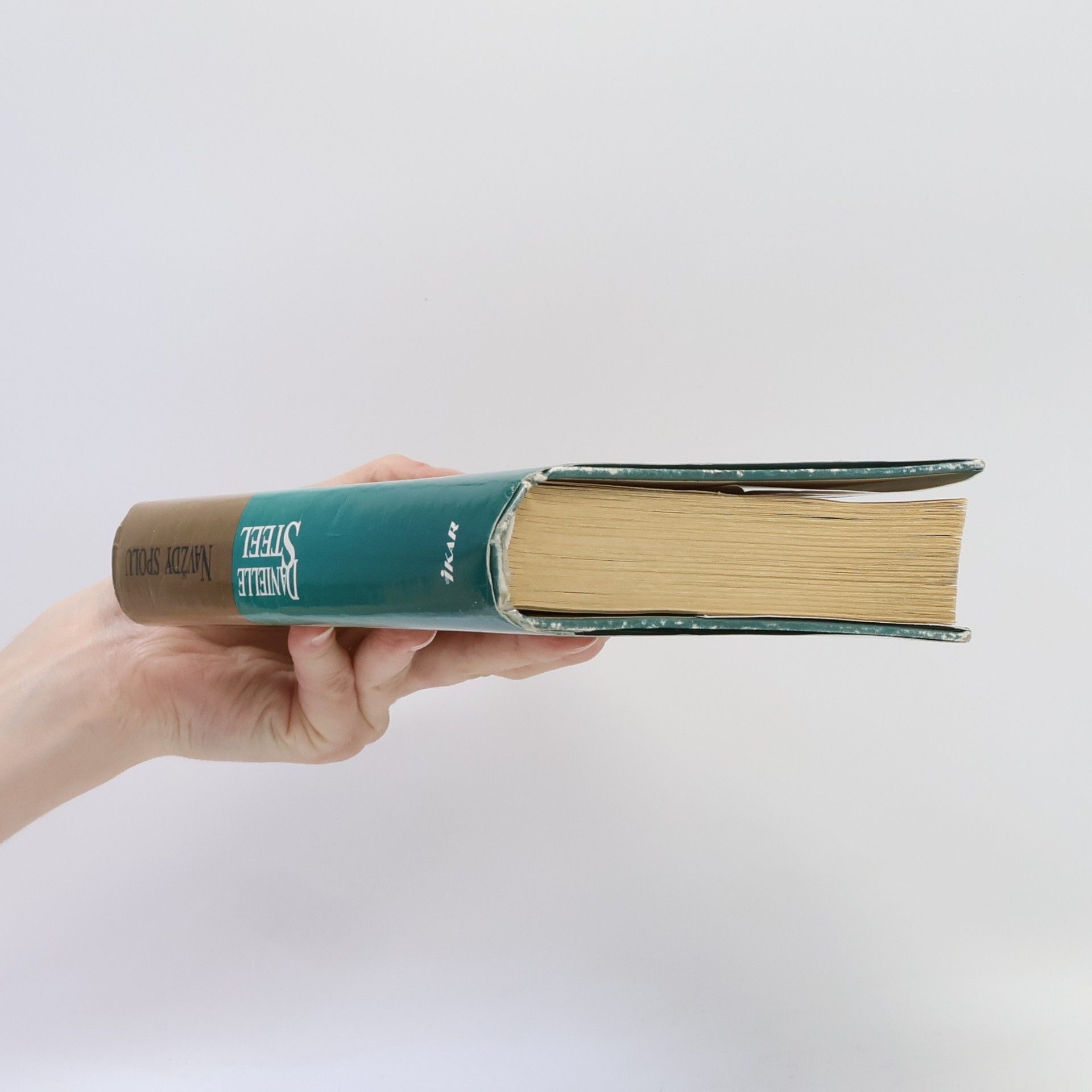 Danielle Steel Navždy spolu
