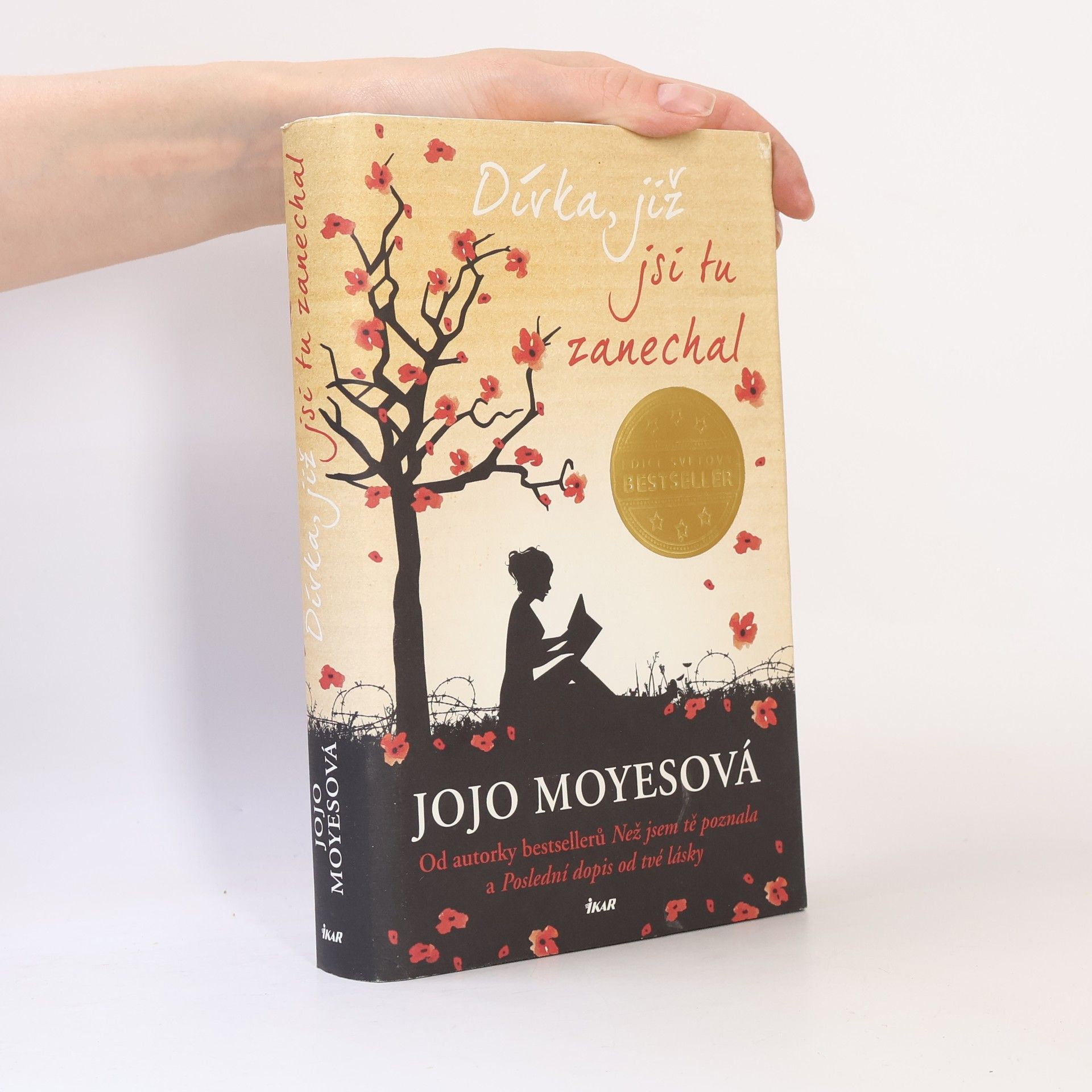 Jojo Moyes Dívka, již jsi tu zanechal