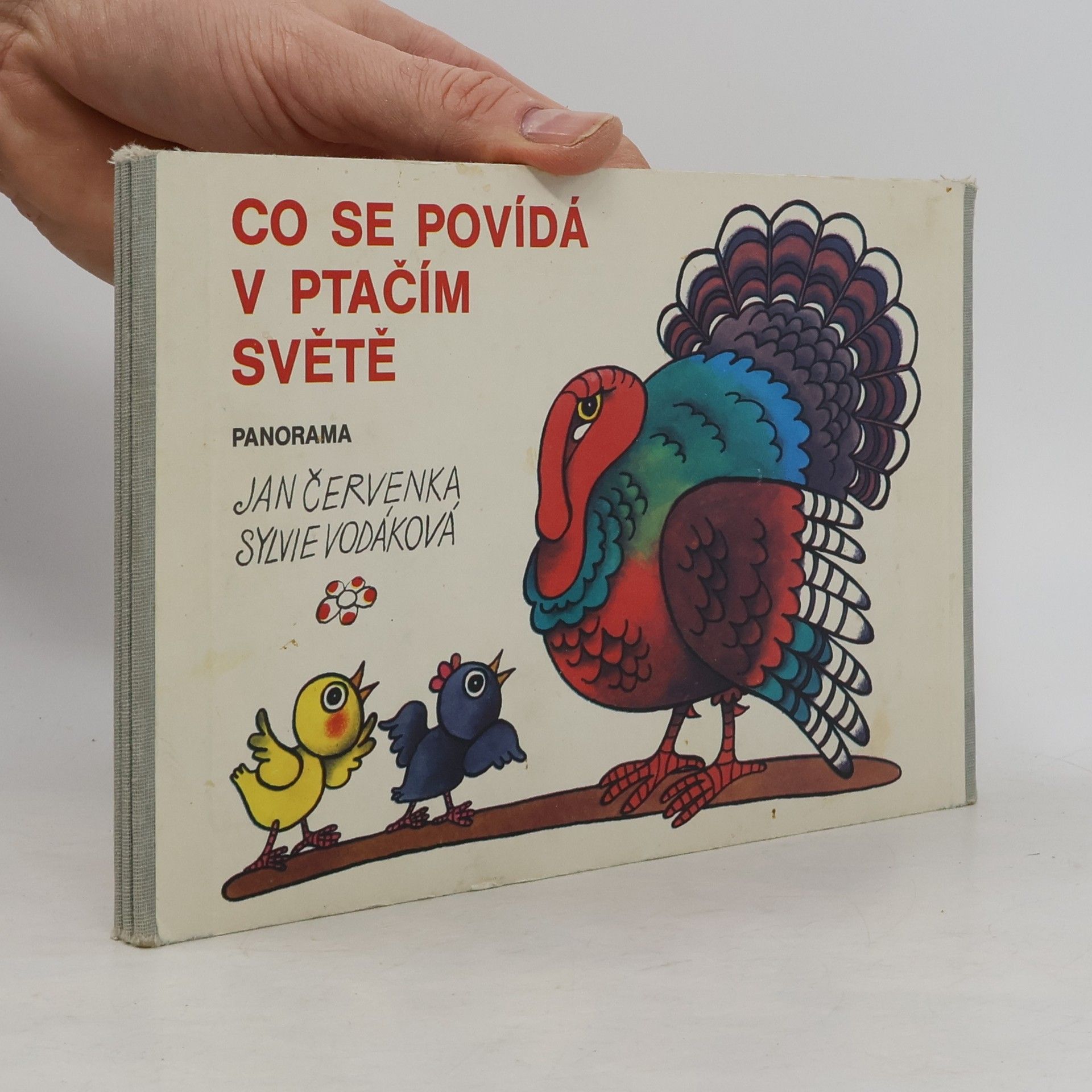 Jan Červenka Co se povídá v ptačím světě