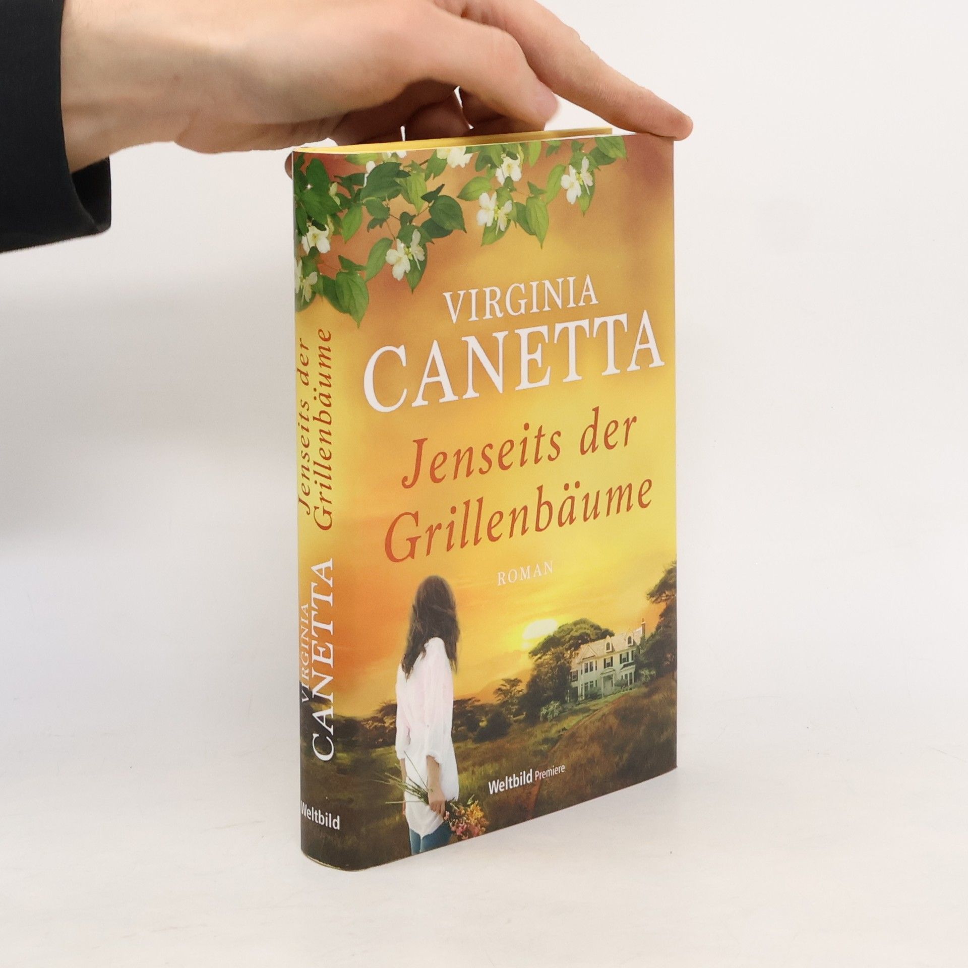 Virginia Canetta Jenseits der Grillenbäume
