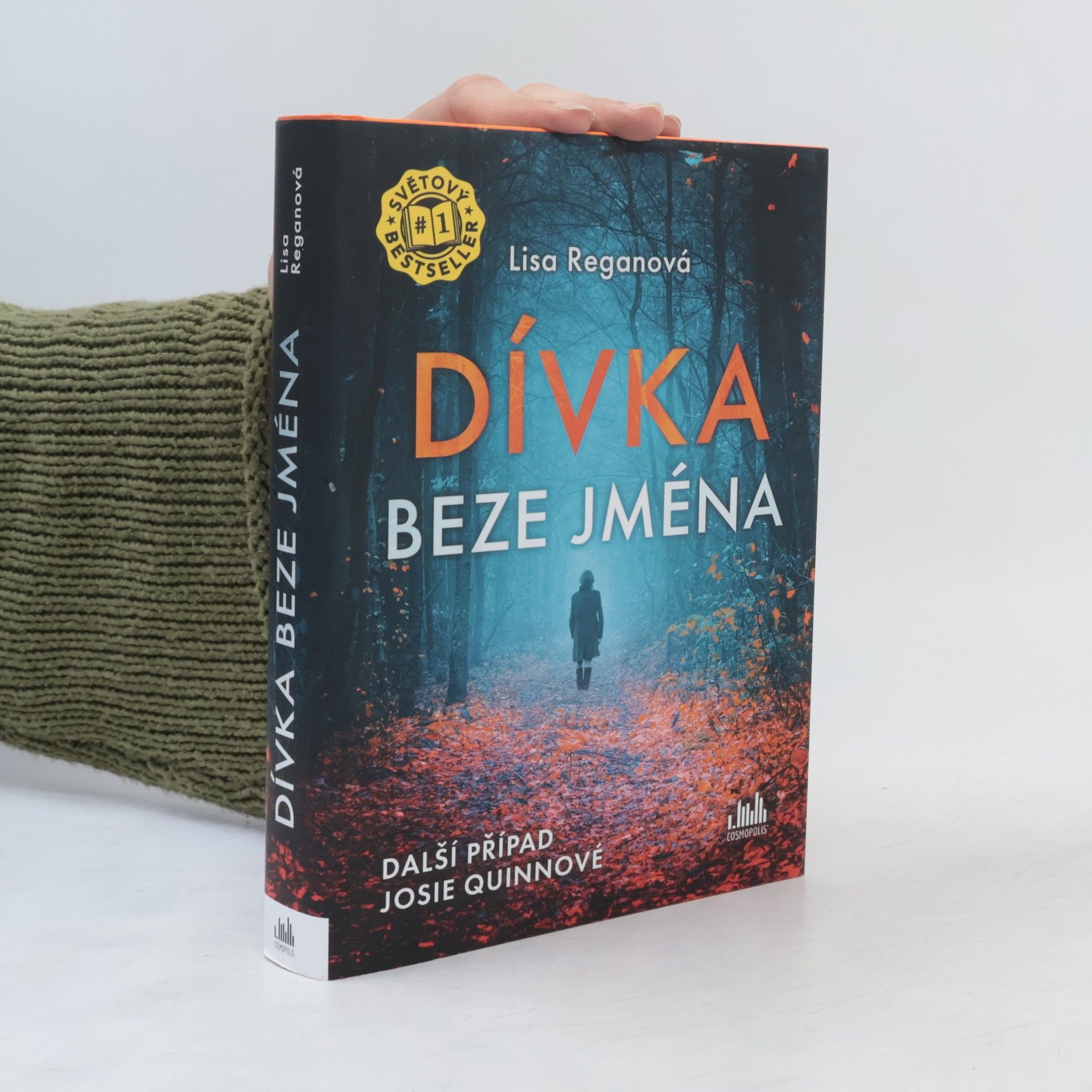 Lisa Regan Dívka beze jména: Další případ Josie Quinnové