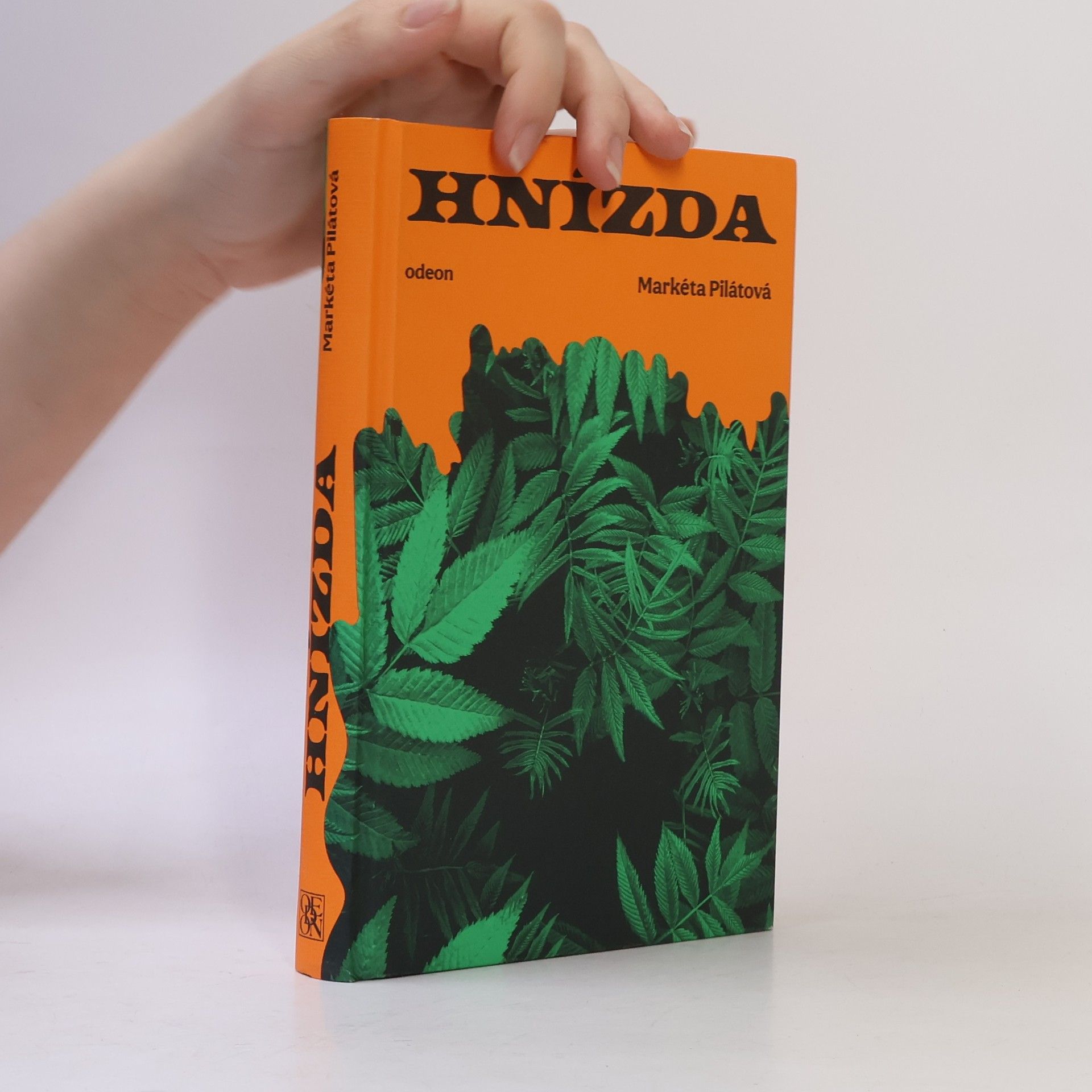 Markéta Pilátová Hnízda