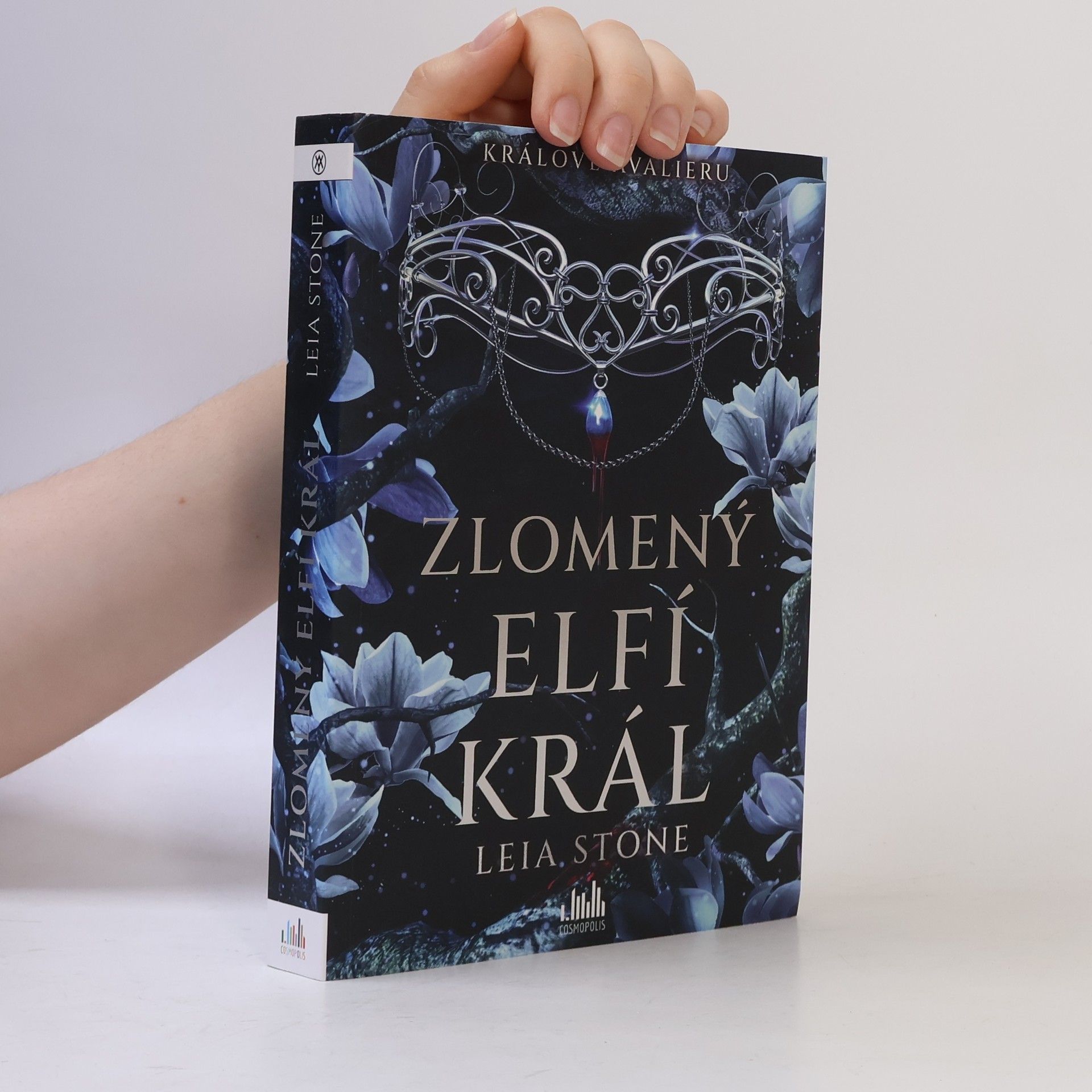 Leia Stone Zlomený elfí král