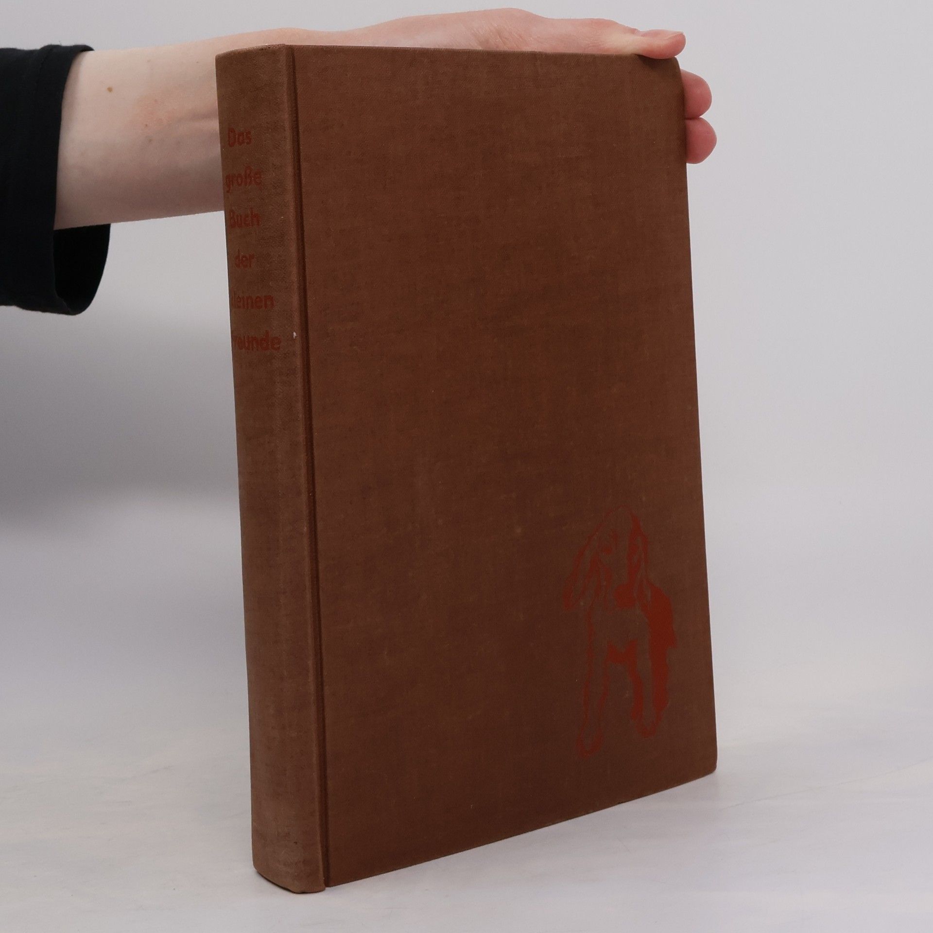 Autorenkollektiv Das grosse Buch der kleinen Freunde