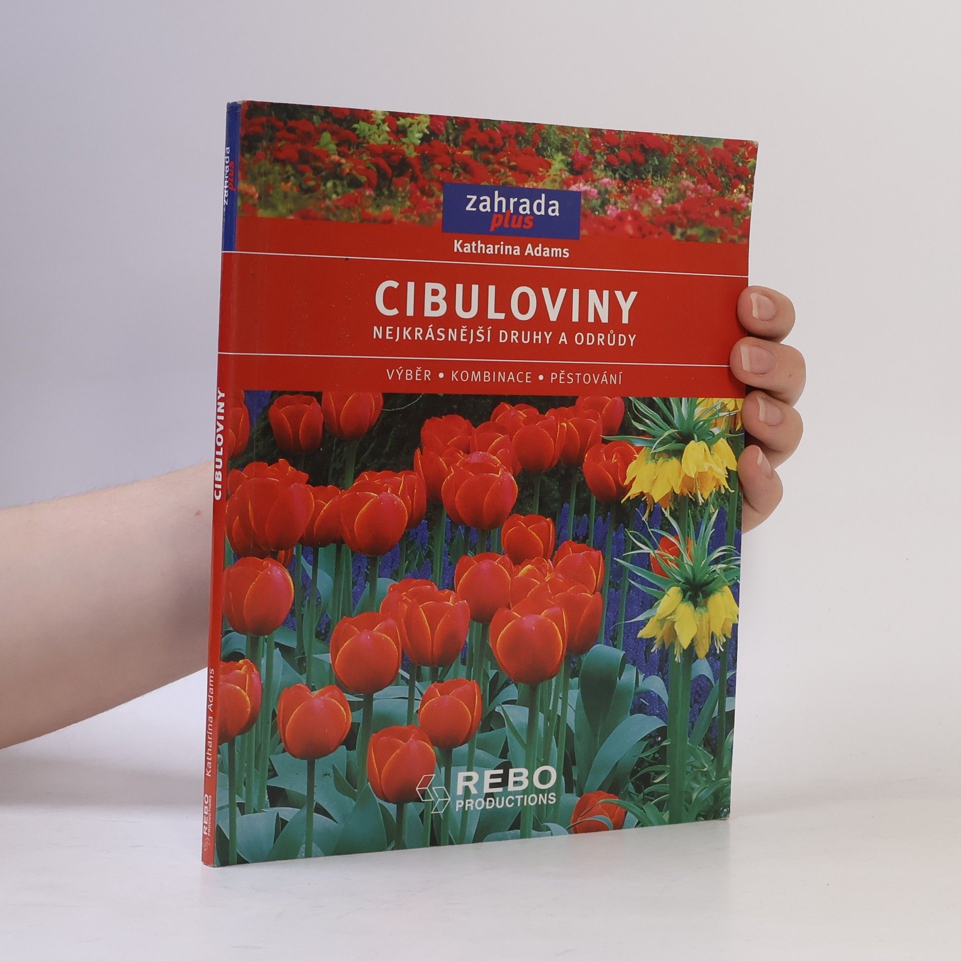Katharina Adams Cibuloviny - nejkrásnější druhy a odrůdy