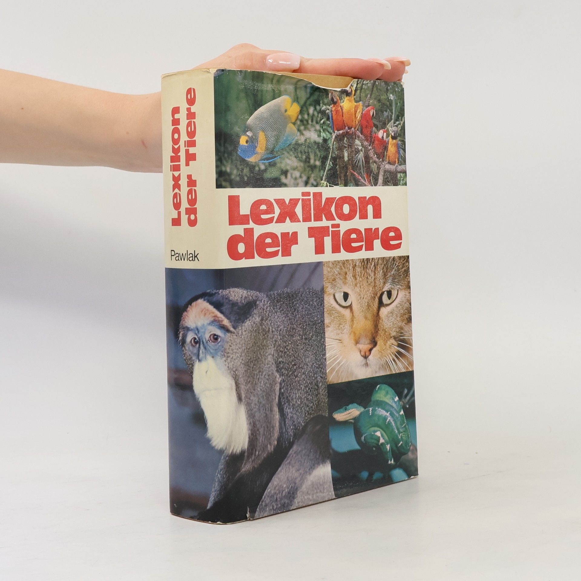 AA.VV. Lexikon der Tiere