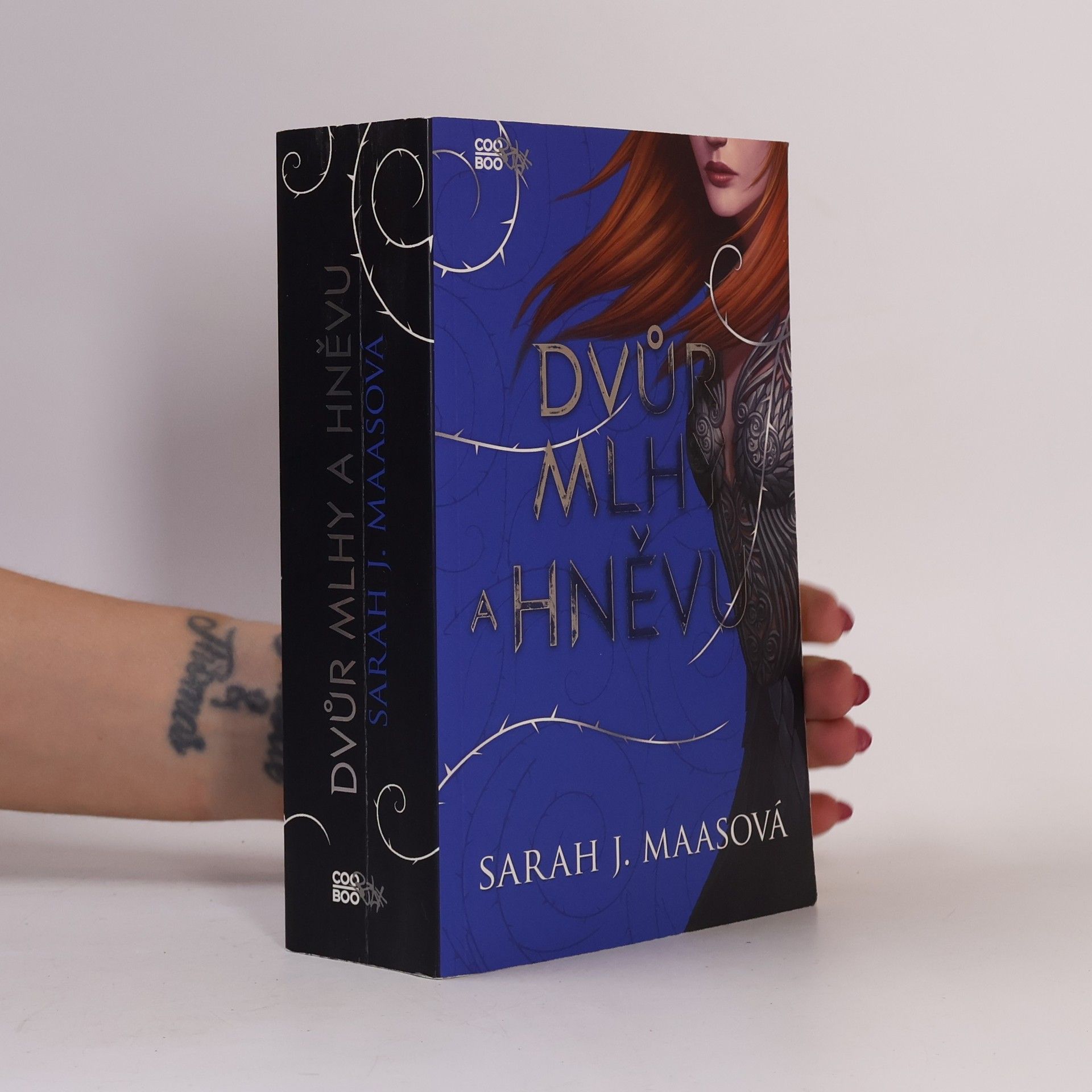 Sarah J. Maas Dvůr mlhy a hněvu