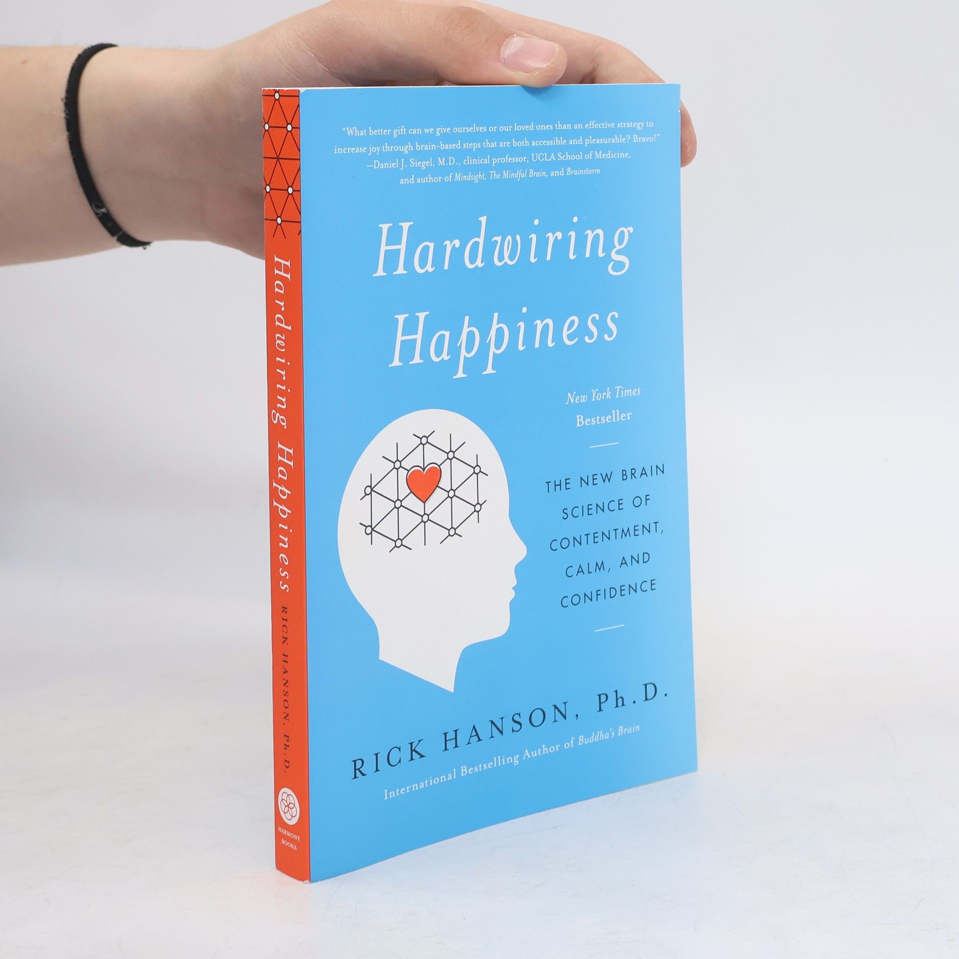 Rick Hanson Hardwiring Happiness