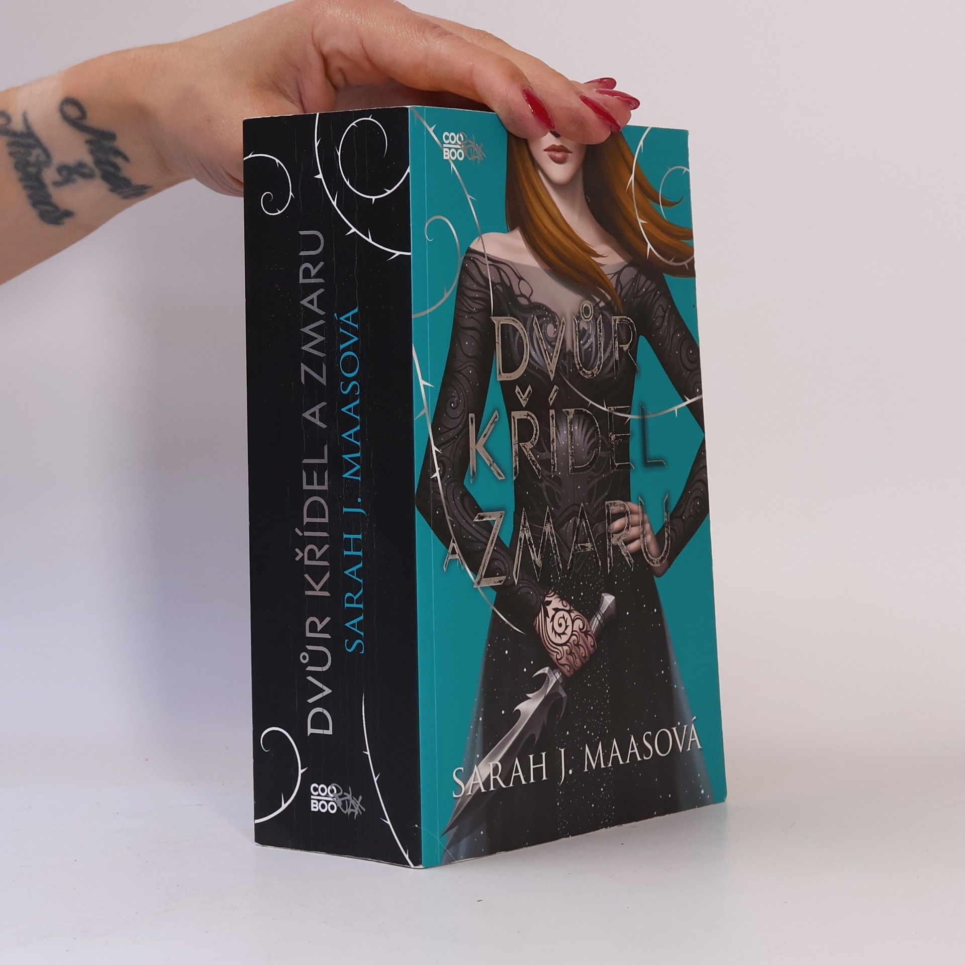 Sarah J. Maas Dvůr křídel a zmaru