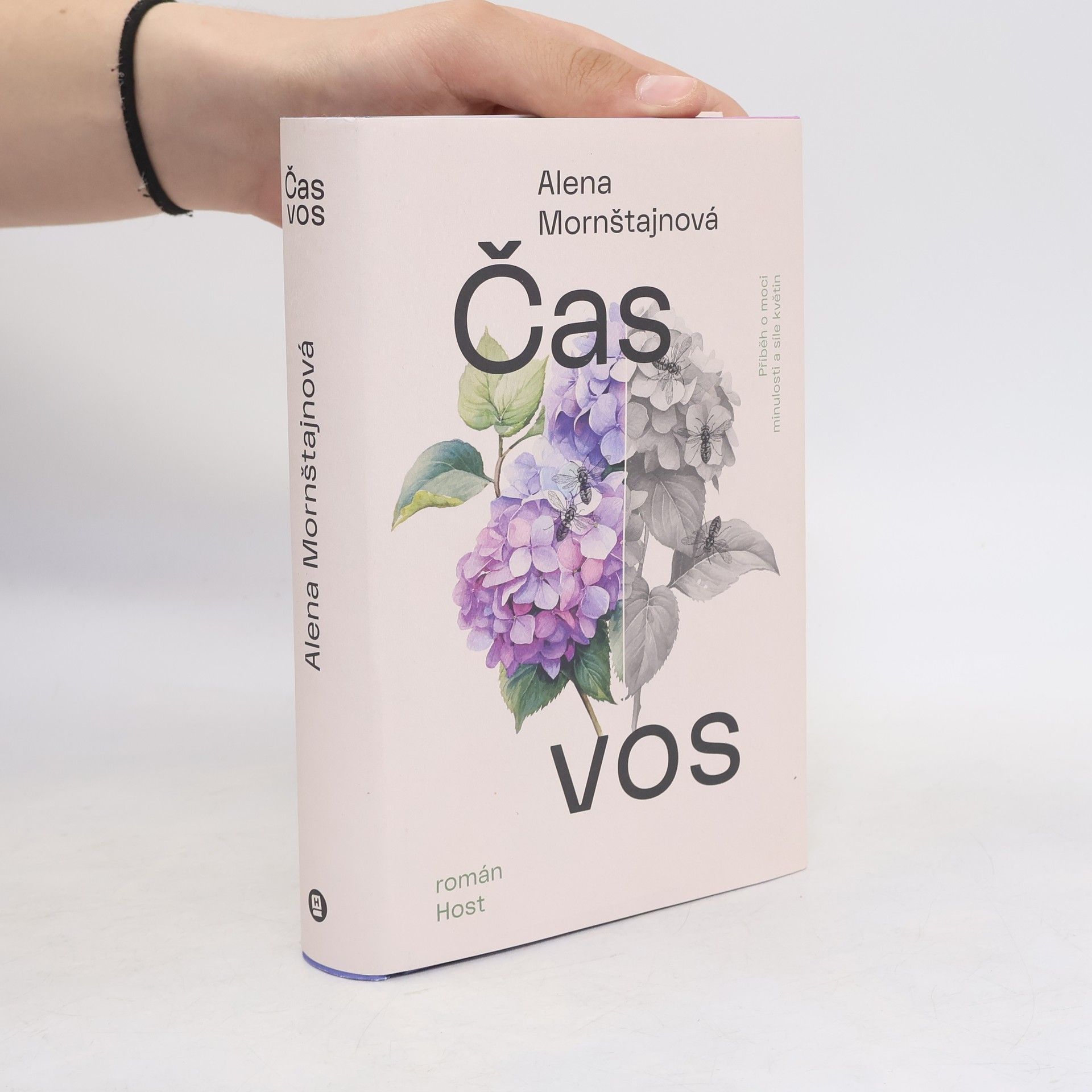 Alena Mornštajnová Čas vos